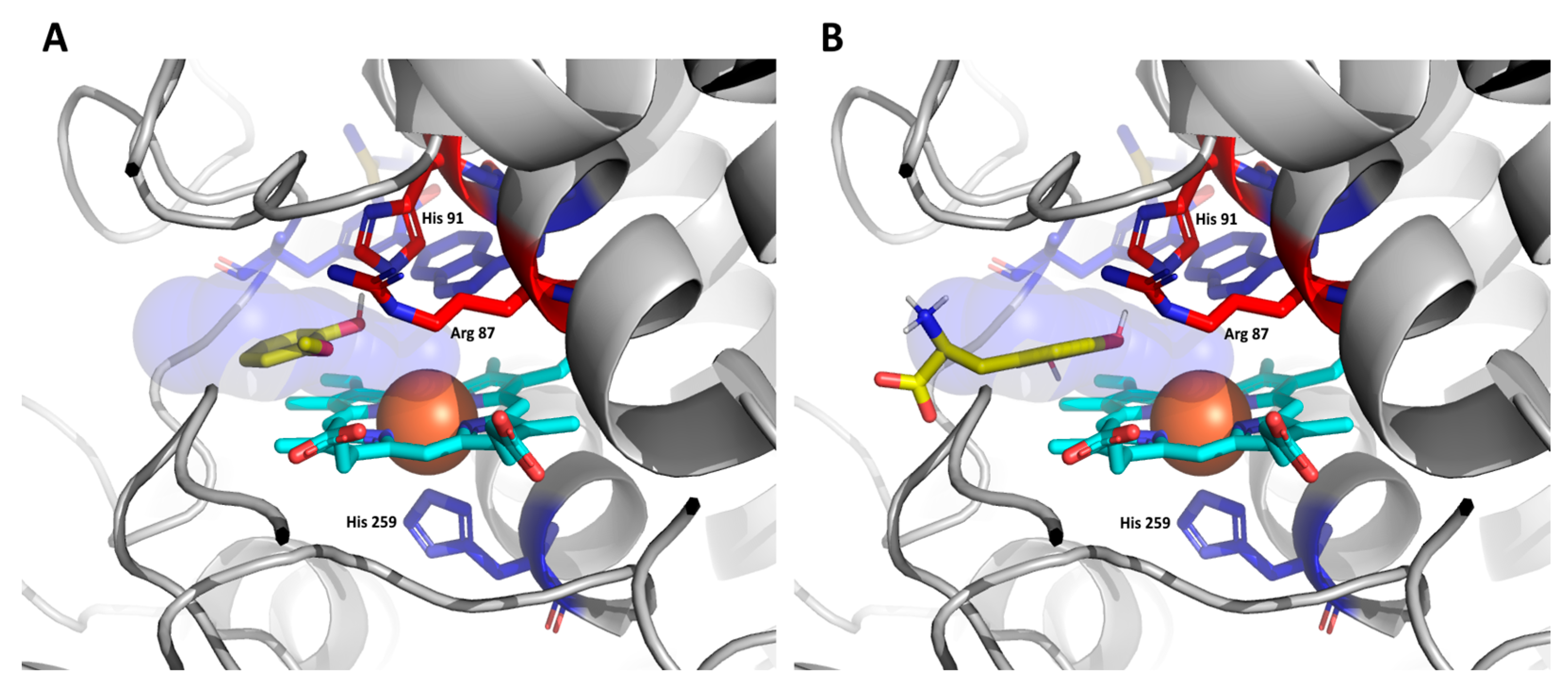 Antioxidants 12 01382 g013 Antioxidants 12 01382 g013