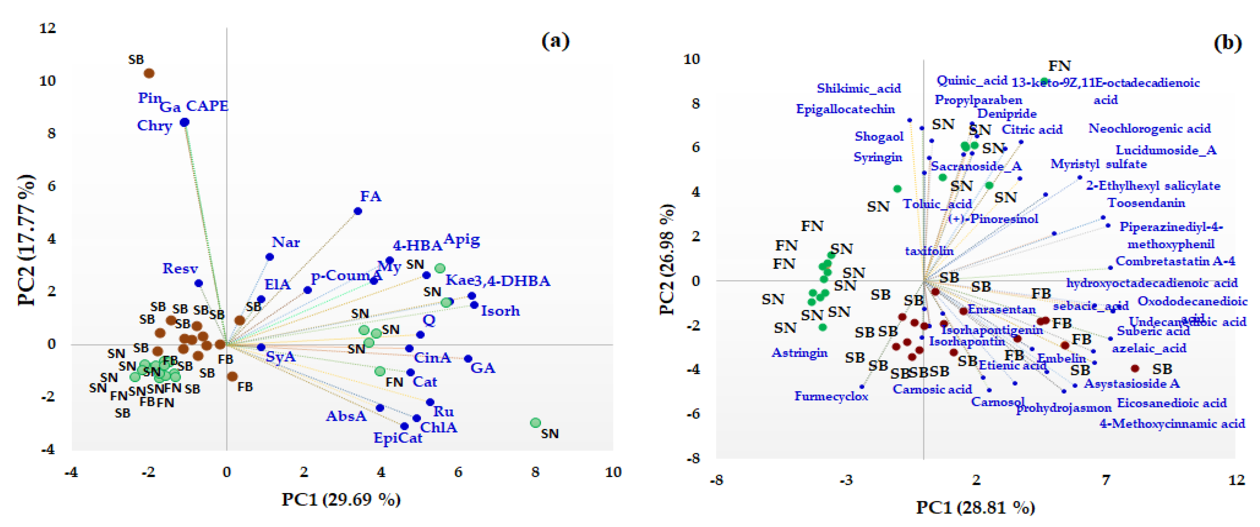Antioxidants 12 01383 g003 Antioxidants 12 01383 g003