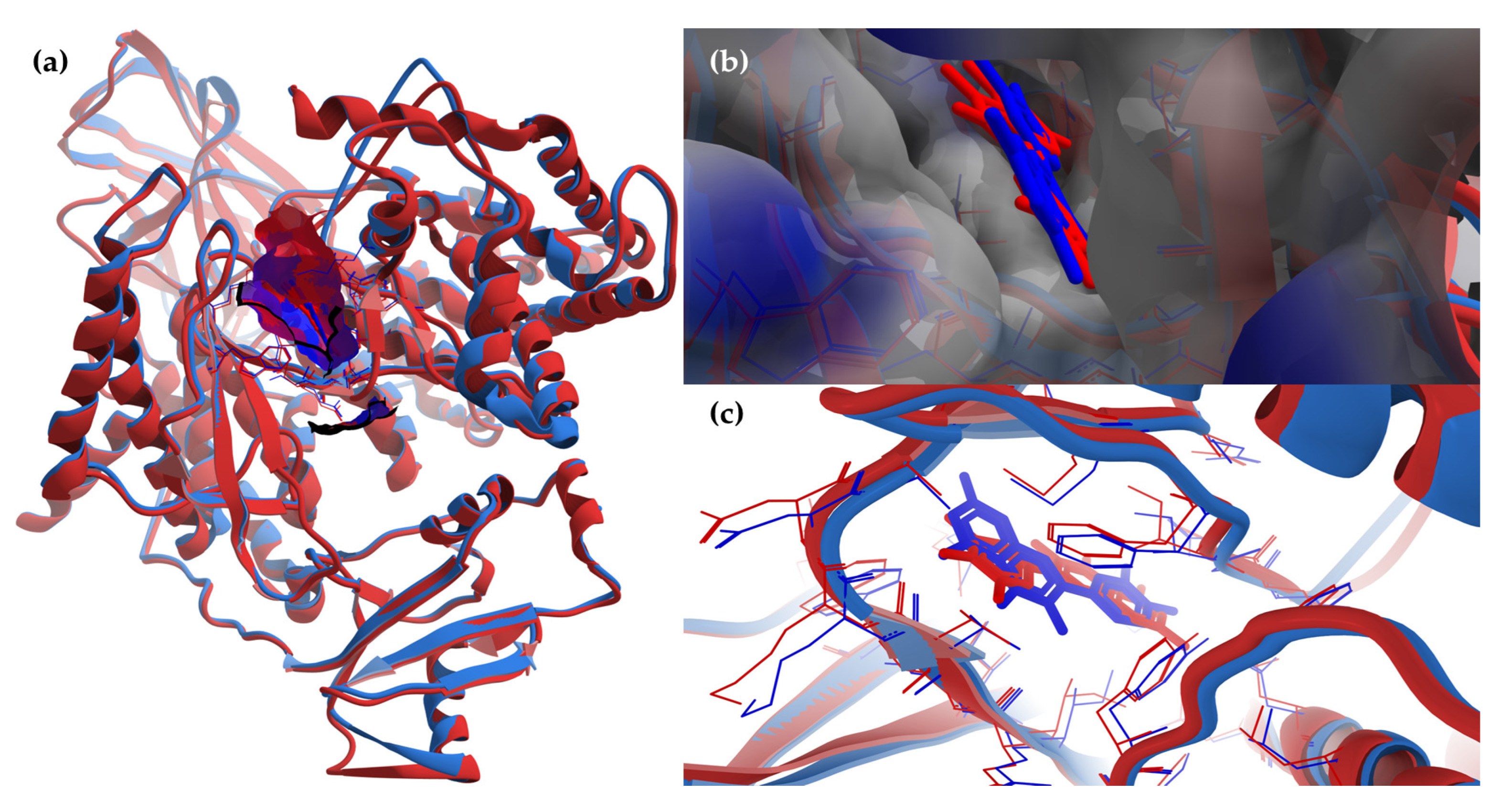 Antioxidants 12 01383 g008 Antioxidants 12 01383 g008