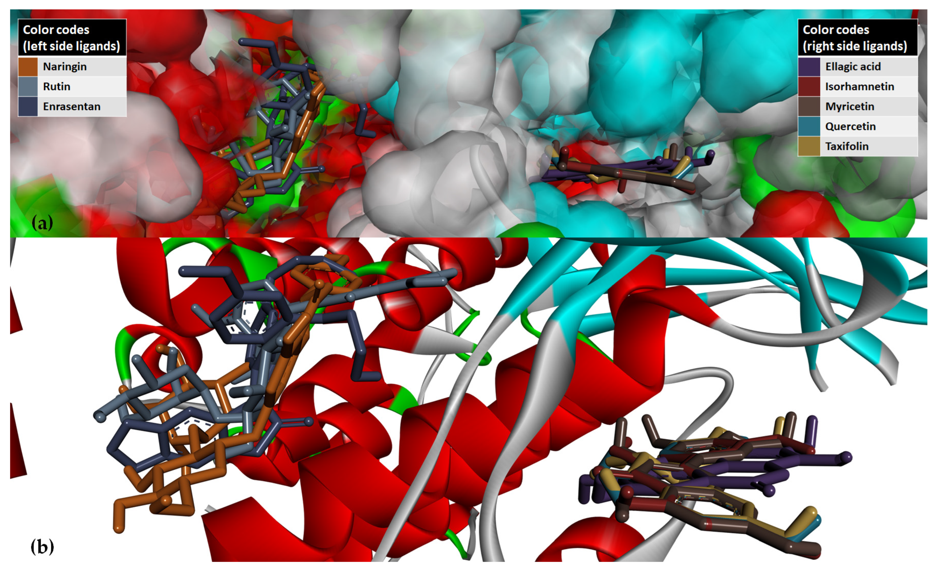 Antioxidants 12 01383 g011 Antioxidants 12 01383 g011