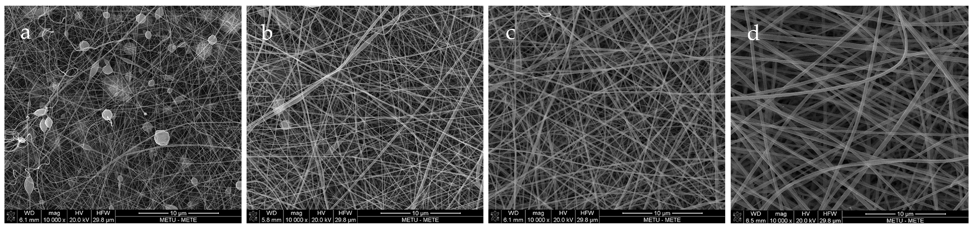 Antioxidants 12 01387 g001 Antioxidants 12 01387 g001