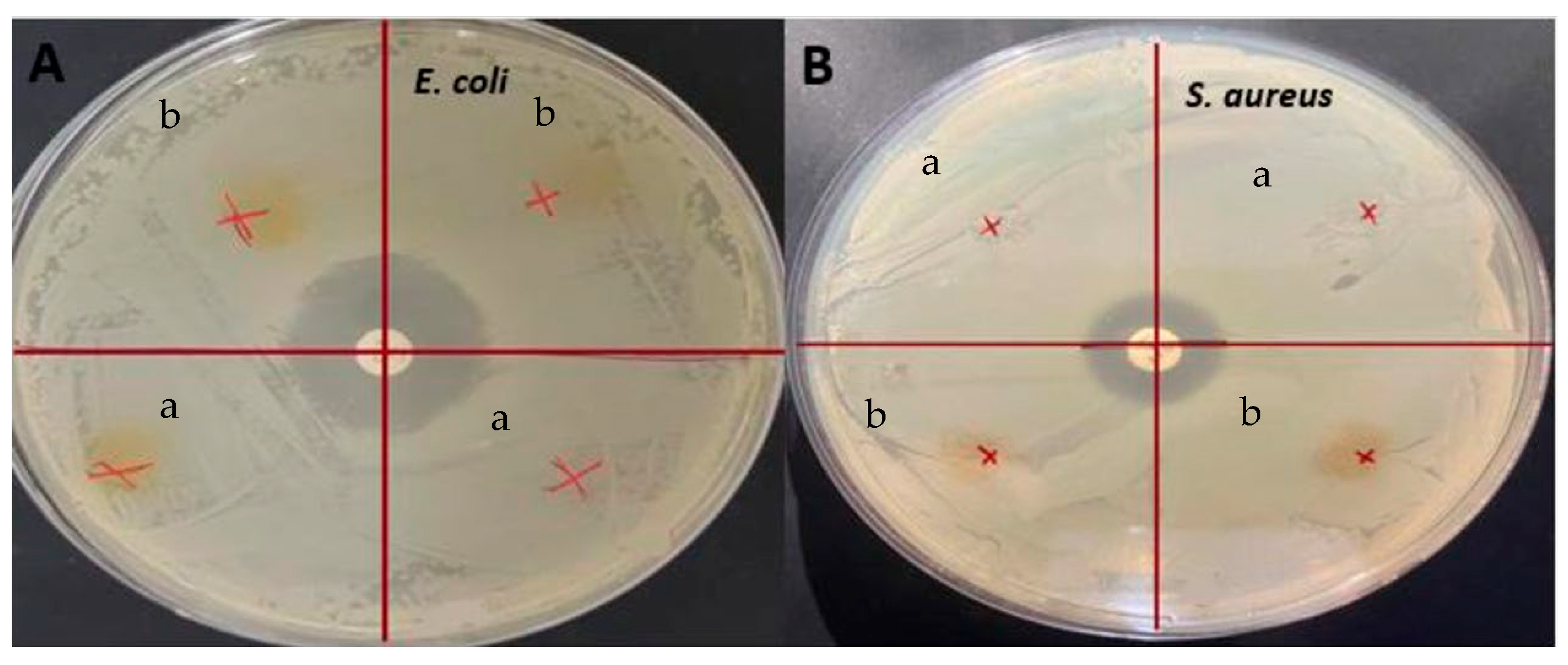 Antioxidants 12 01387 g006 Antioxidants 12 01387 g006
