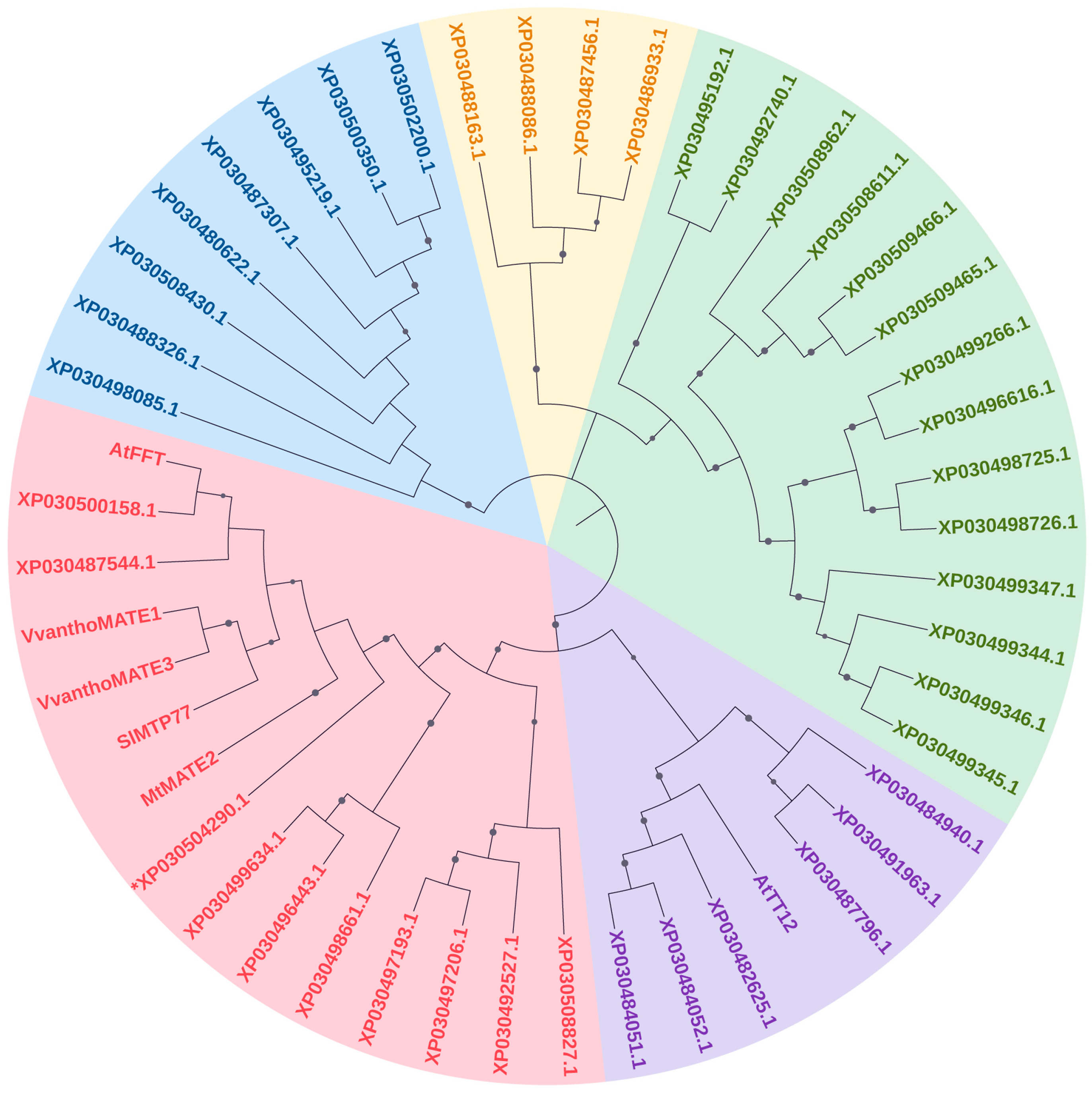 Antioxidants 12 01393 g002