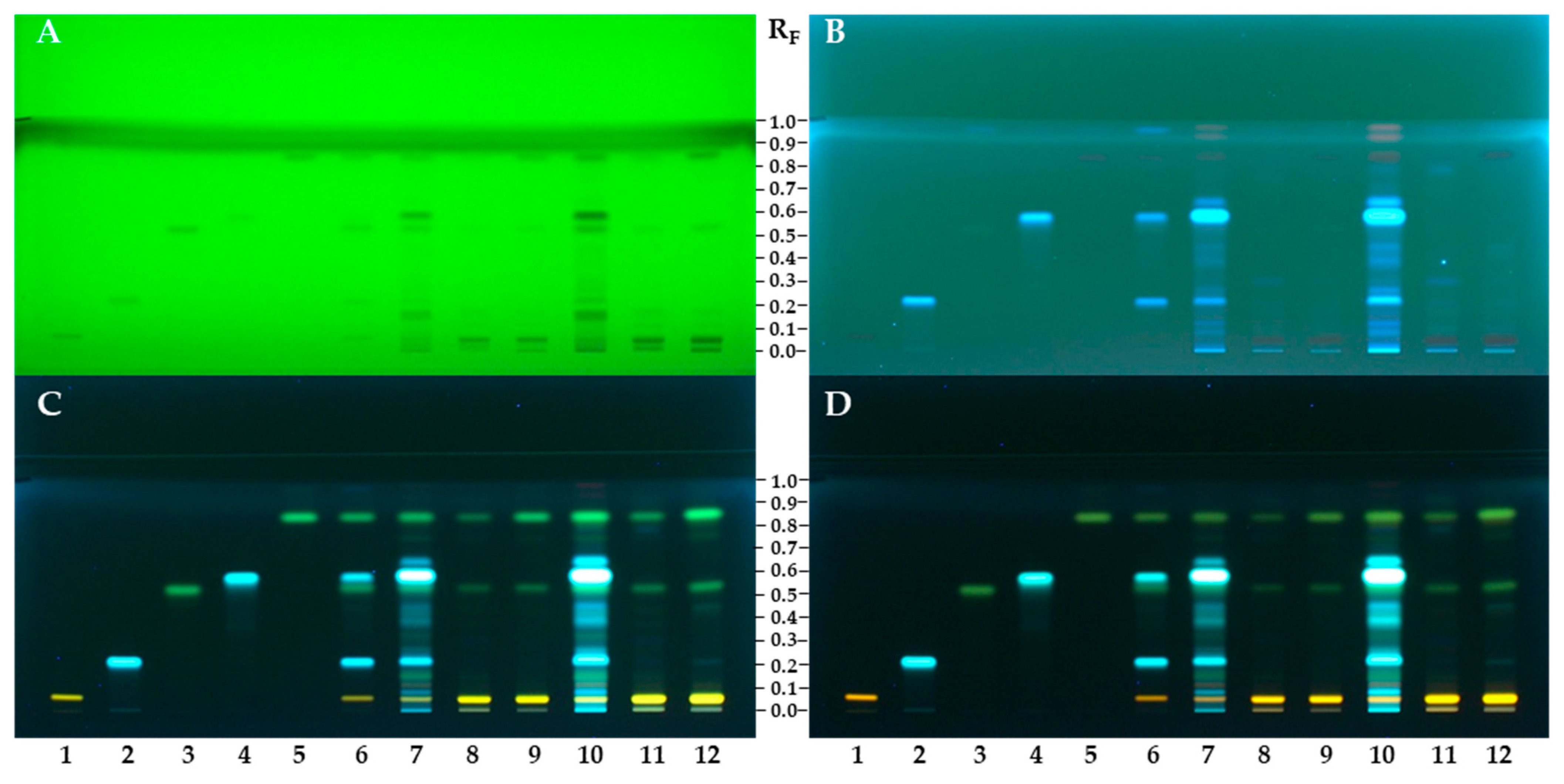 Antioxidants 12 01394 g002
