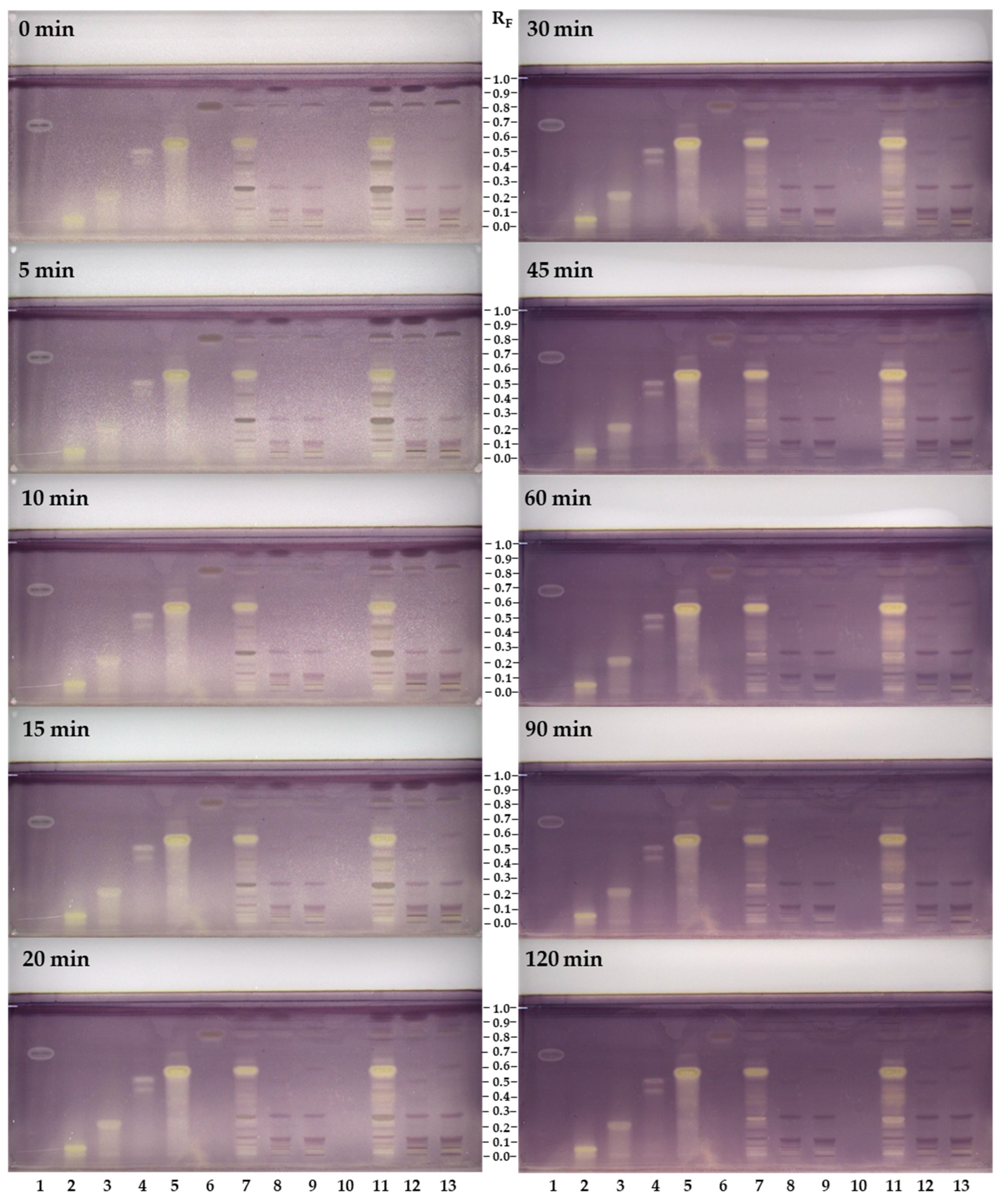 Antioxidants 12 01394 g007