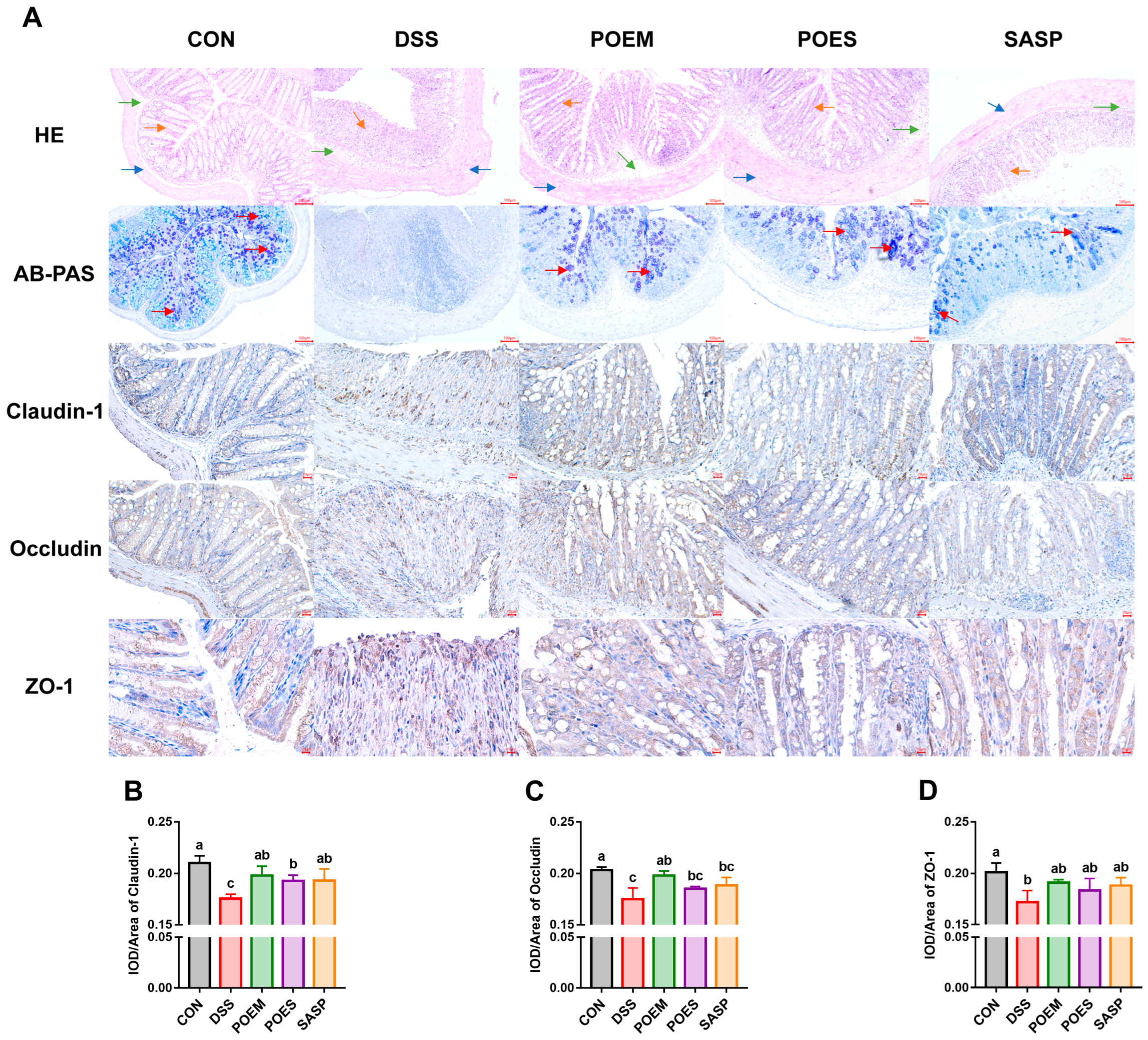 Antioxidants 12 01400 g005 Antioxidants 12 01400 g005
