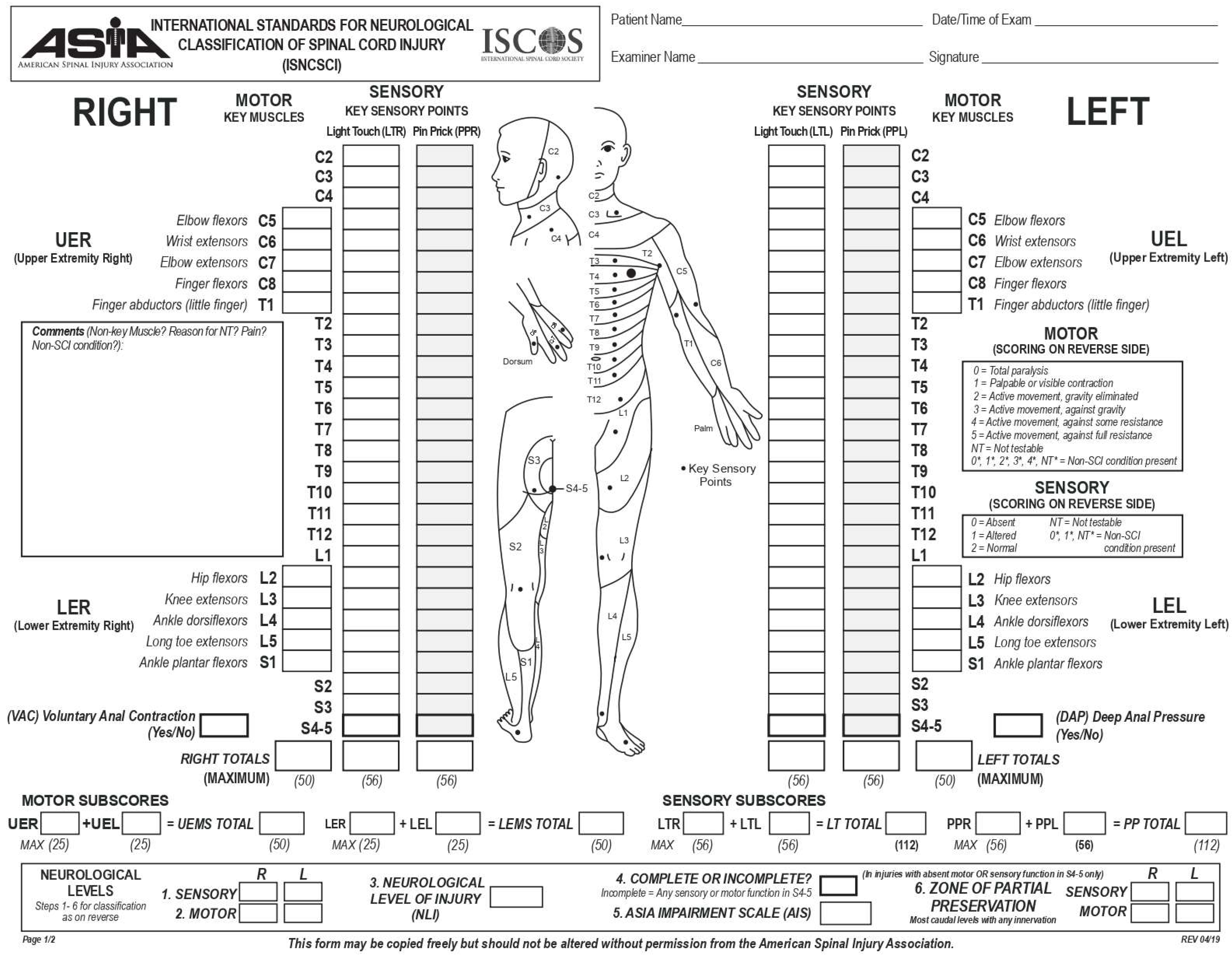 Antioxidants 12 01401 g002 Antioxidants 12 01401 g002