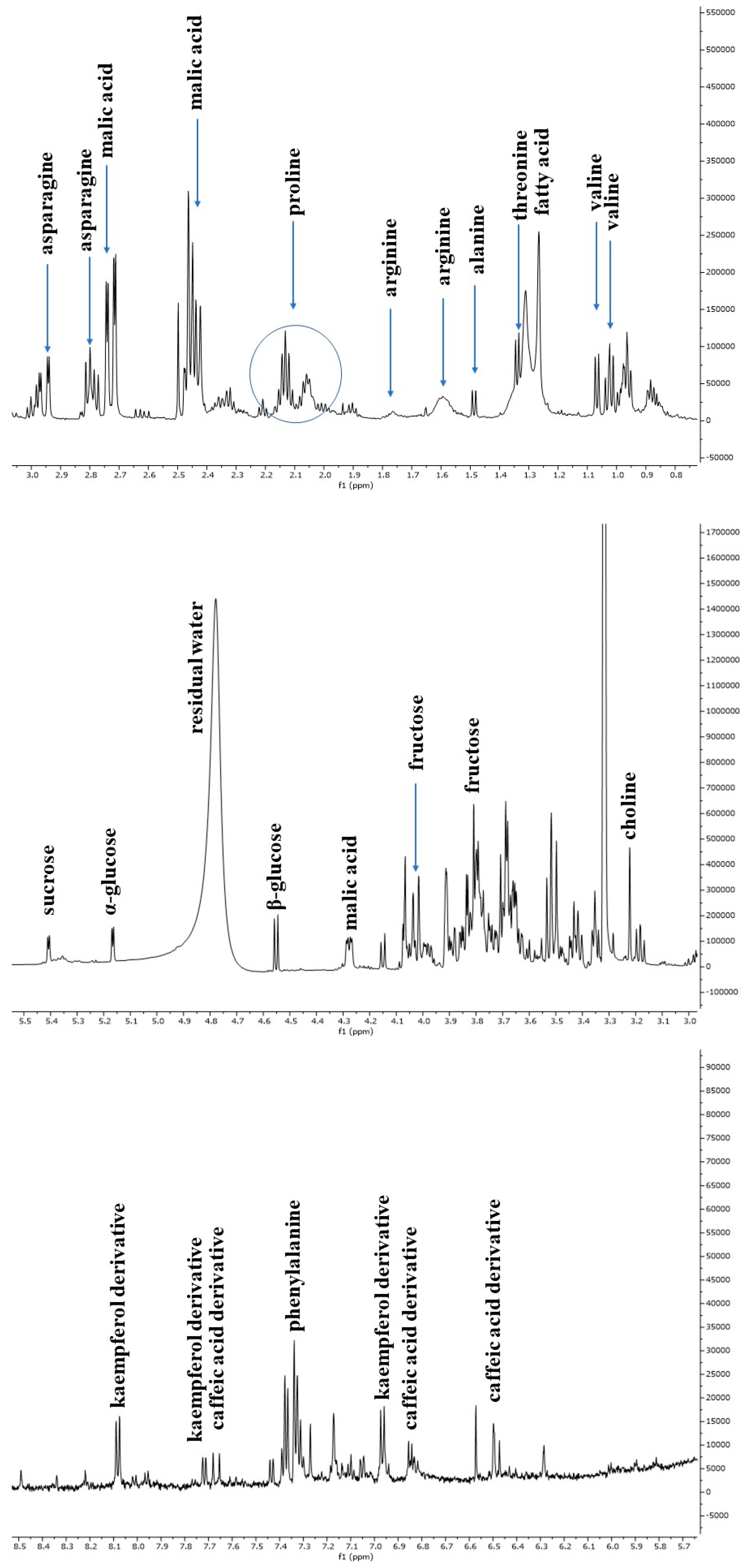 Antioxidants 12 01402 g003