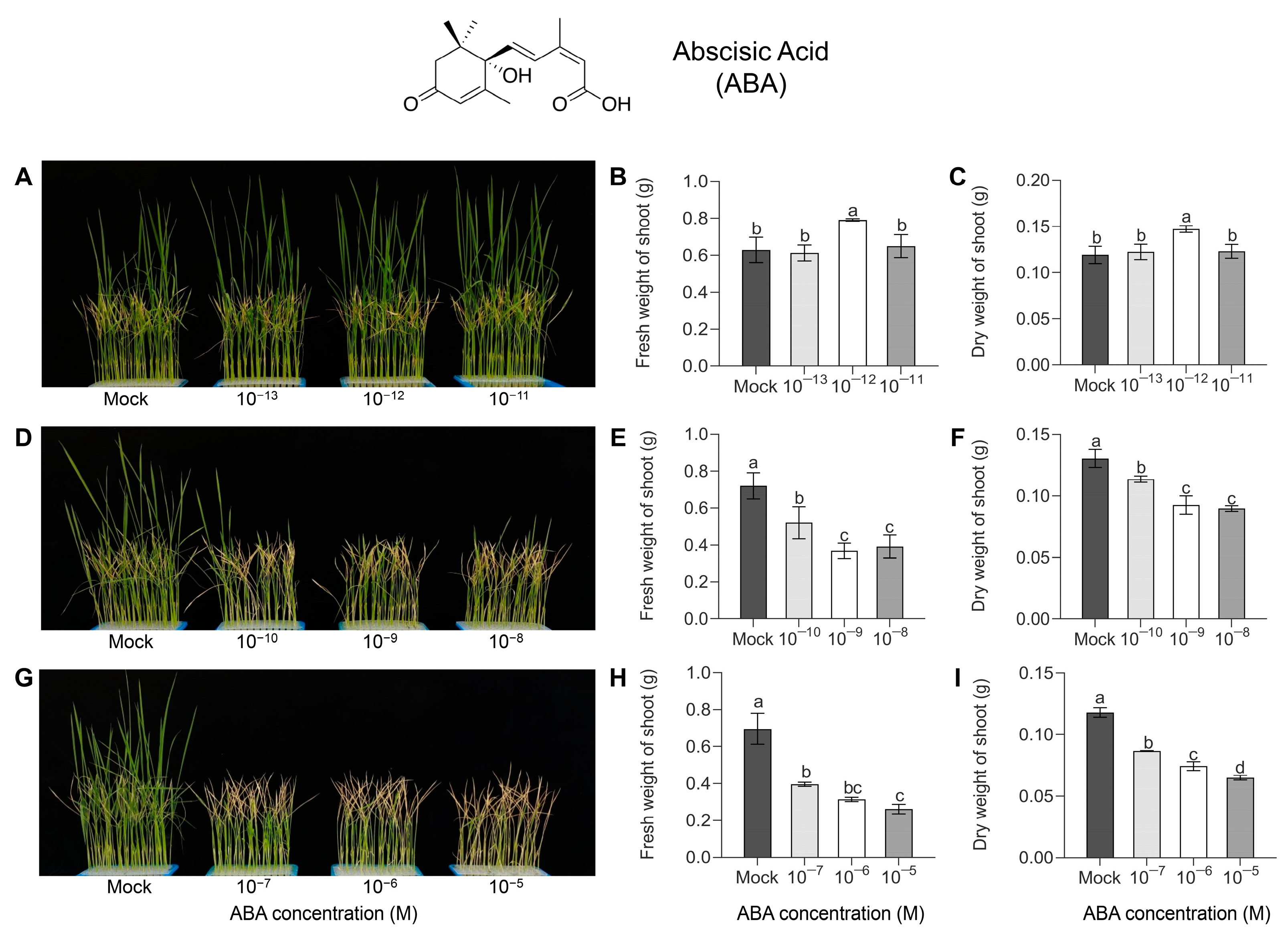 Antioxidants 12 01404 g001