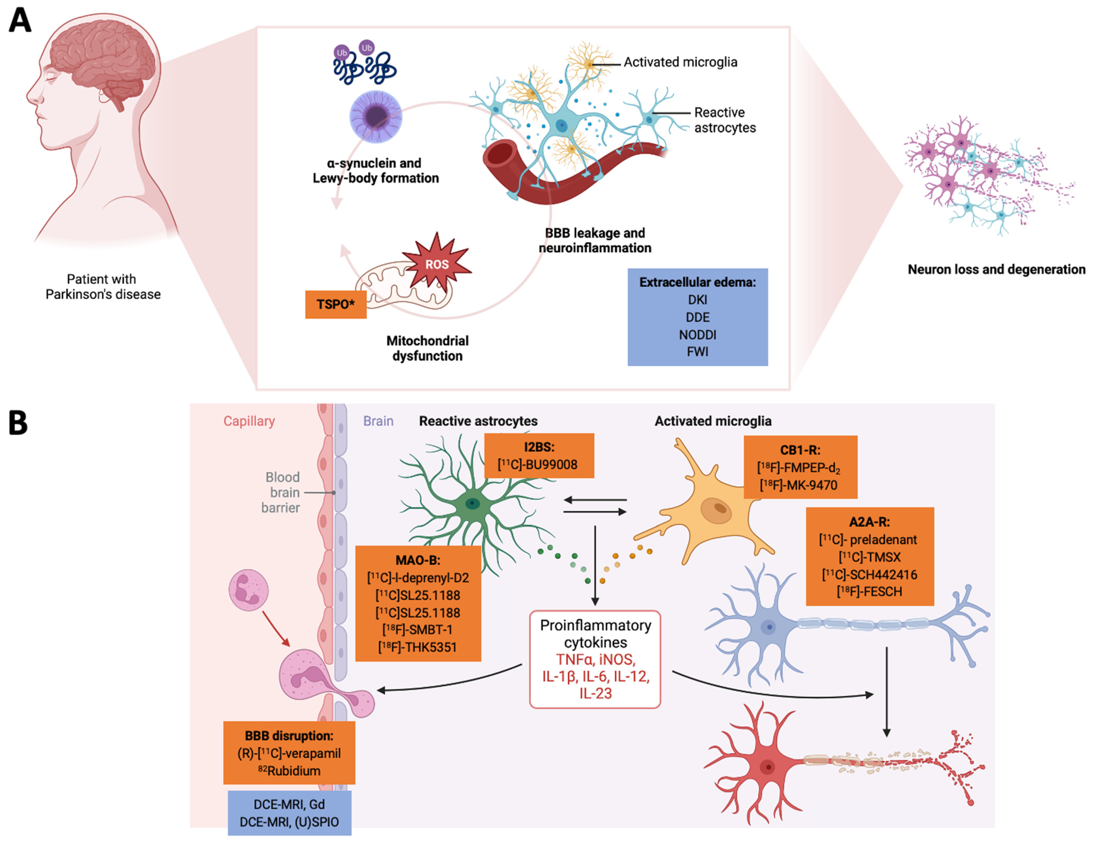 Antioxidants 12 01411 g001 Antioxidants 12 01411 g001