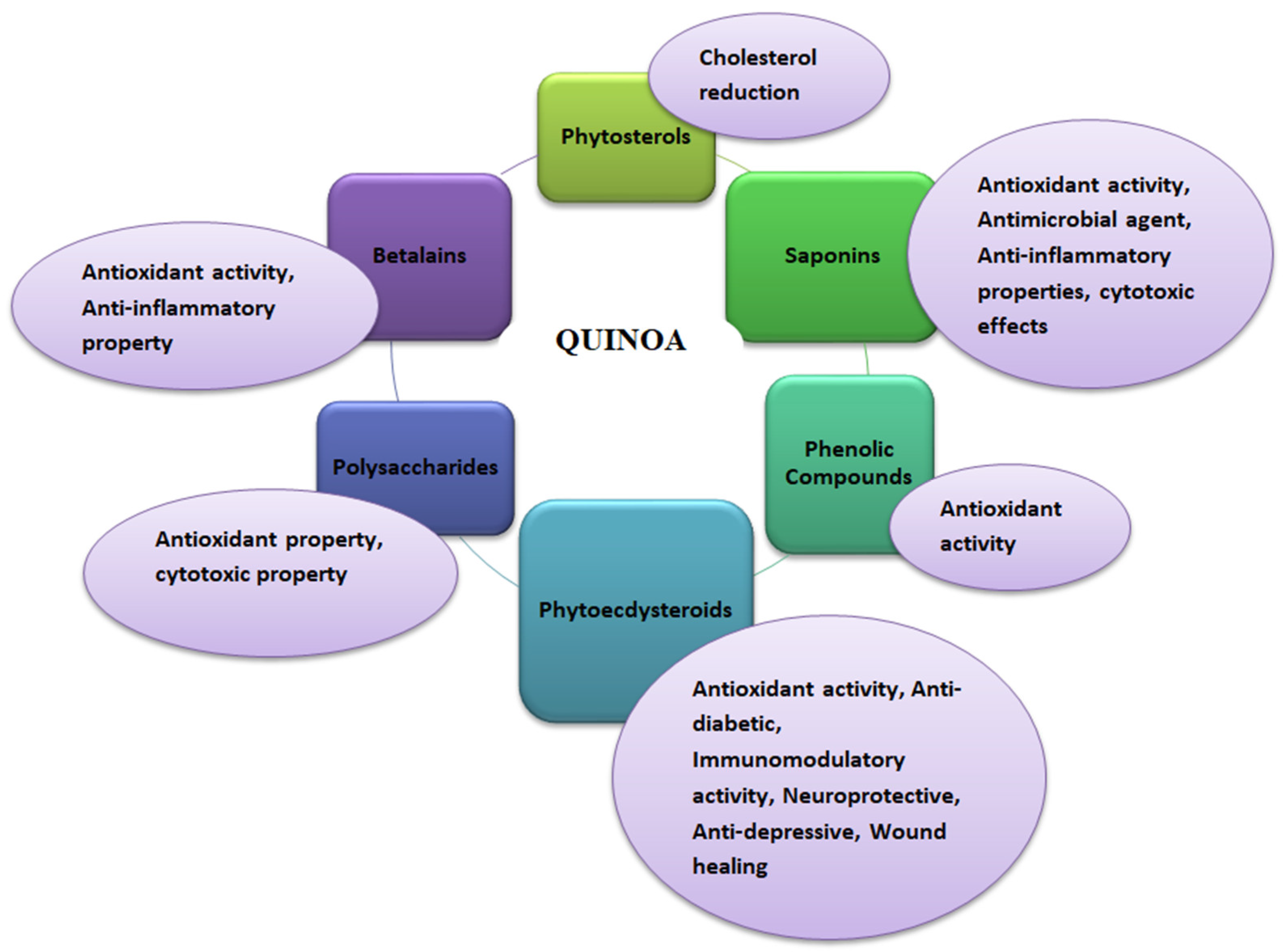 Antioxidants 12 01413 g001 Antioxidants 12 01413 g001