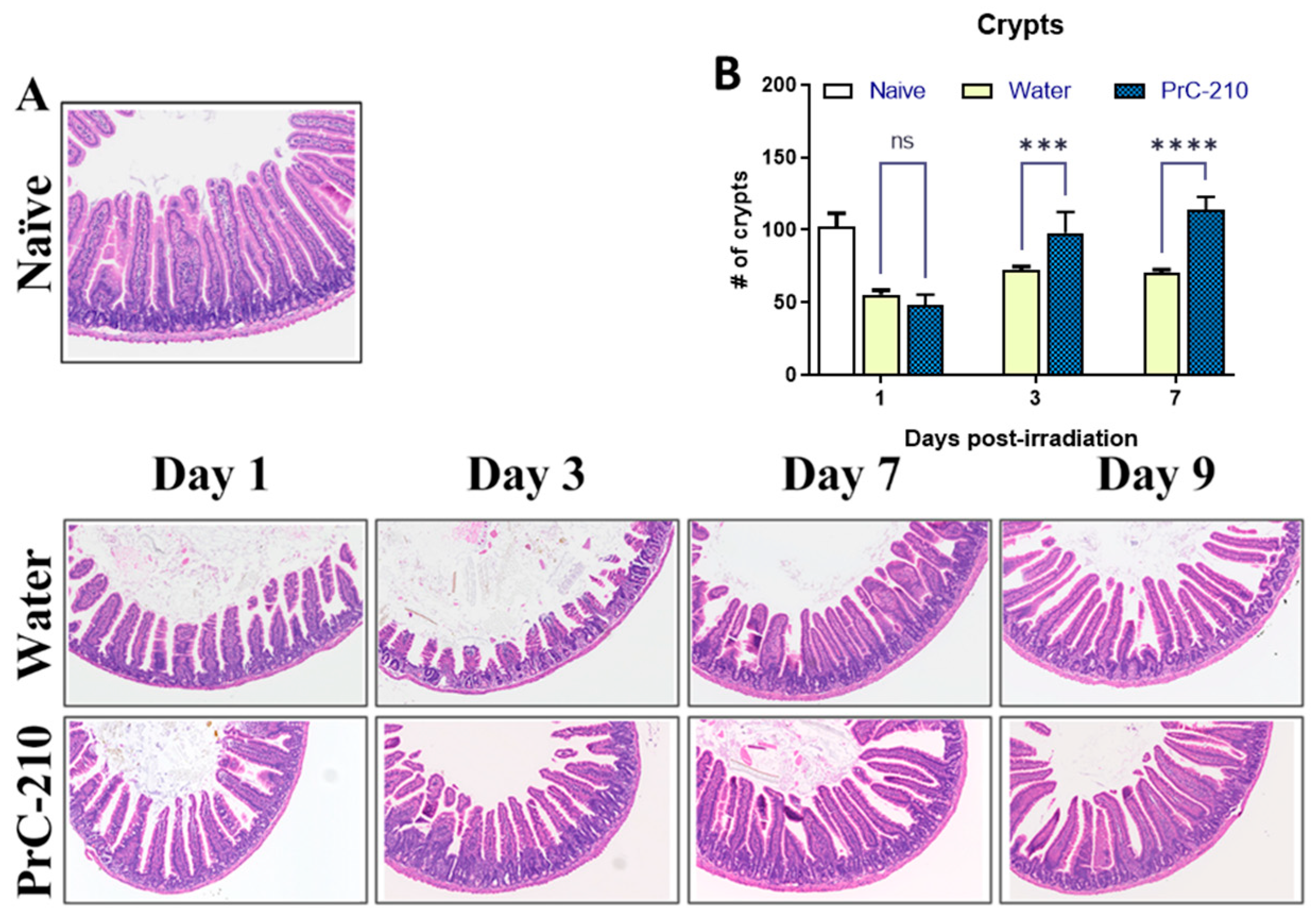 Antioxidants 12 01417 g008 Antioxidants 12 01417 g008