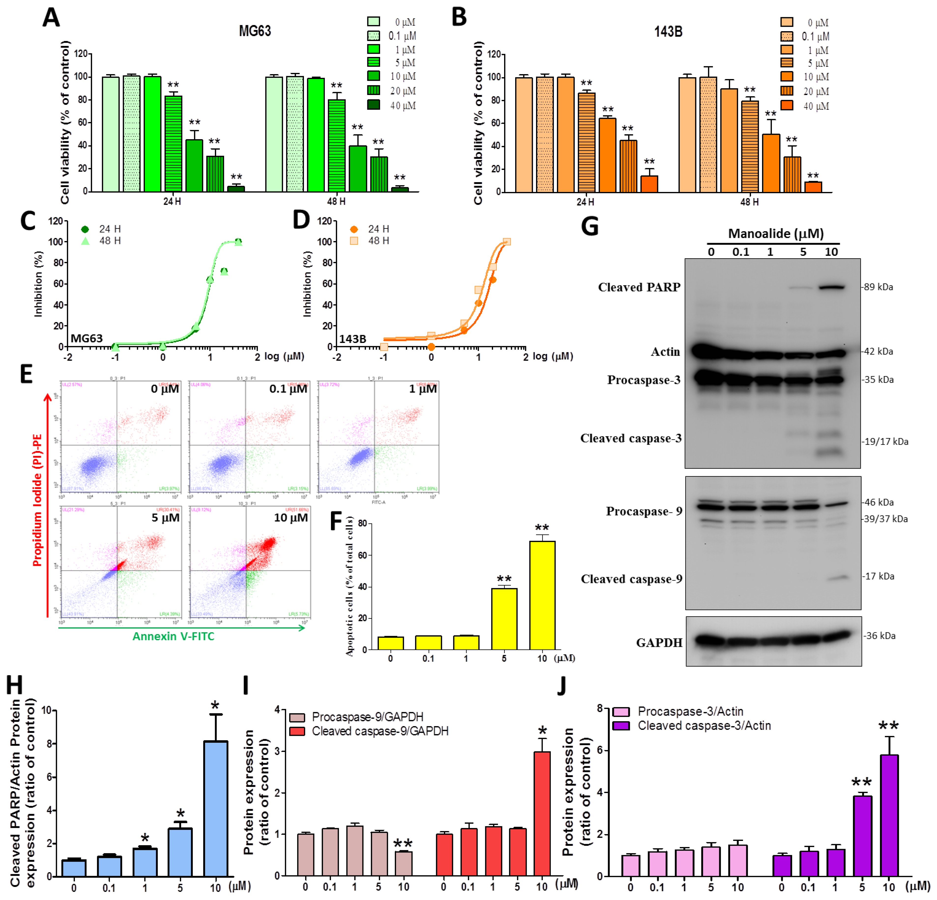 Antioxidants 12 01422 g001 Antioxidants 12 01422 g001