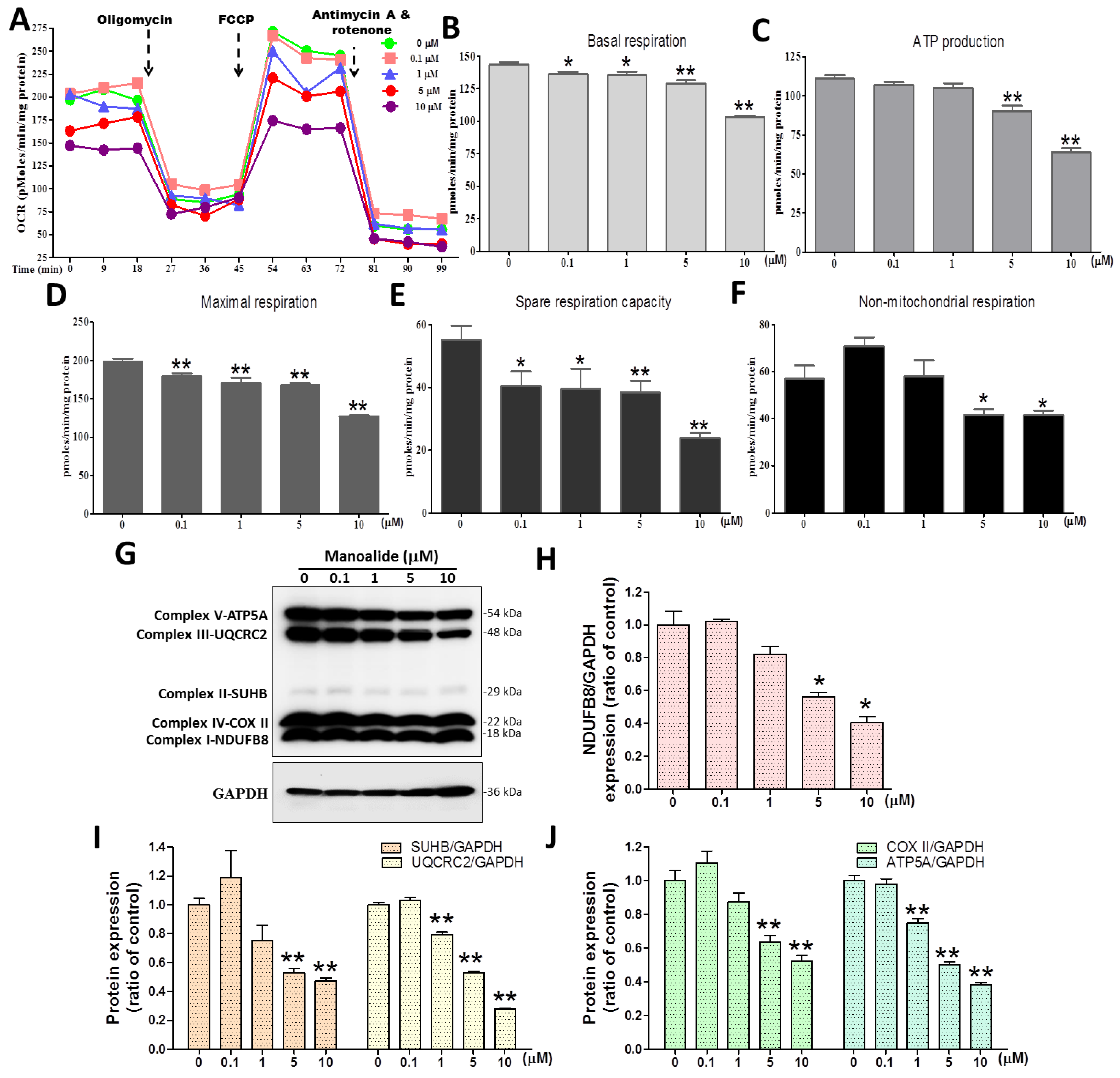 Antioxidants 12 01422 g003 Antioxidants 12 01422 g003