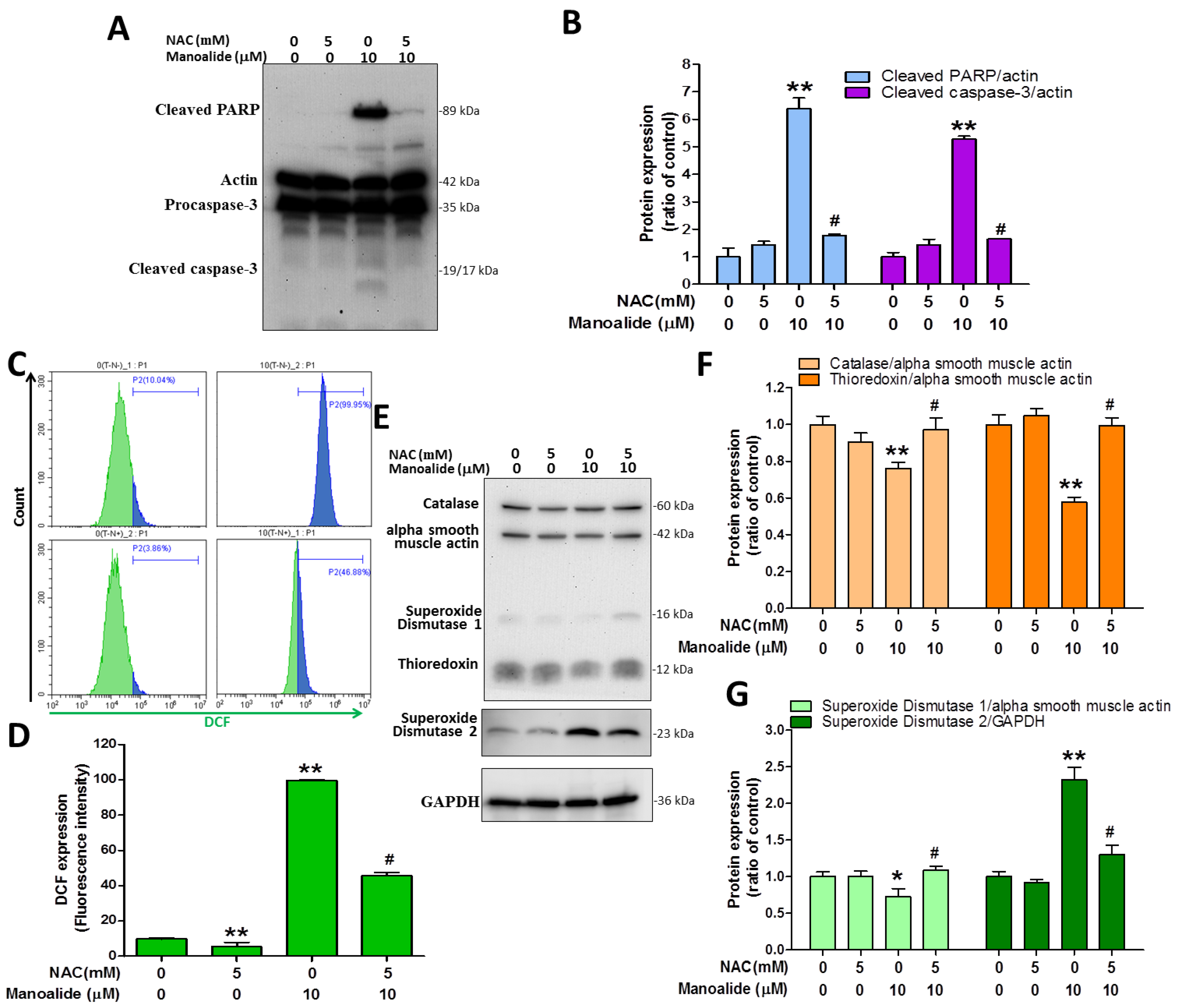 Antioxidants 12 01422 g005 Antioxidants 12 01422 g005