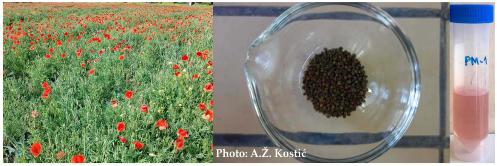 Antioxidants 12 01424 g001 Antioxidants 12 01424 g001