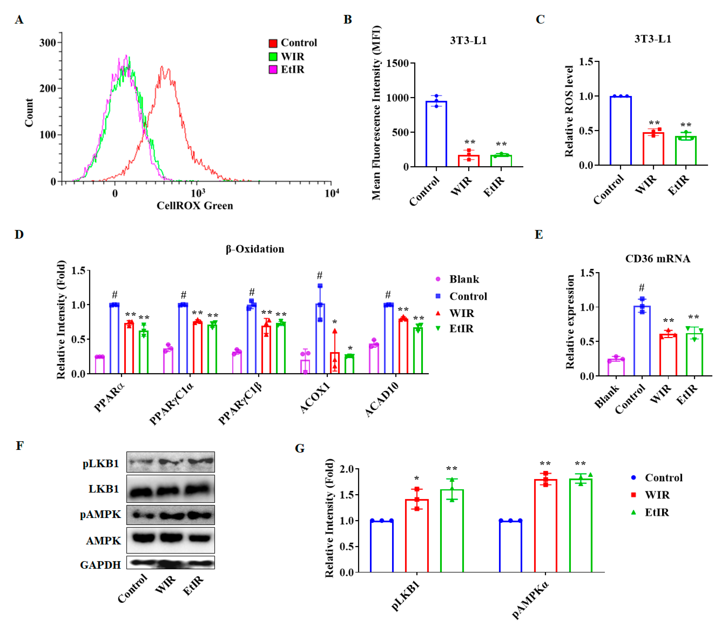 Antioxidants 12 01426 g002