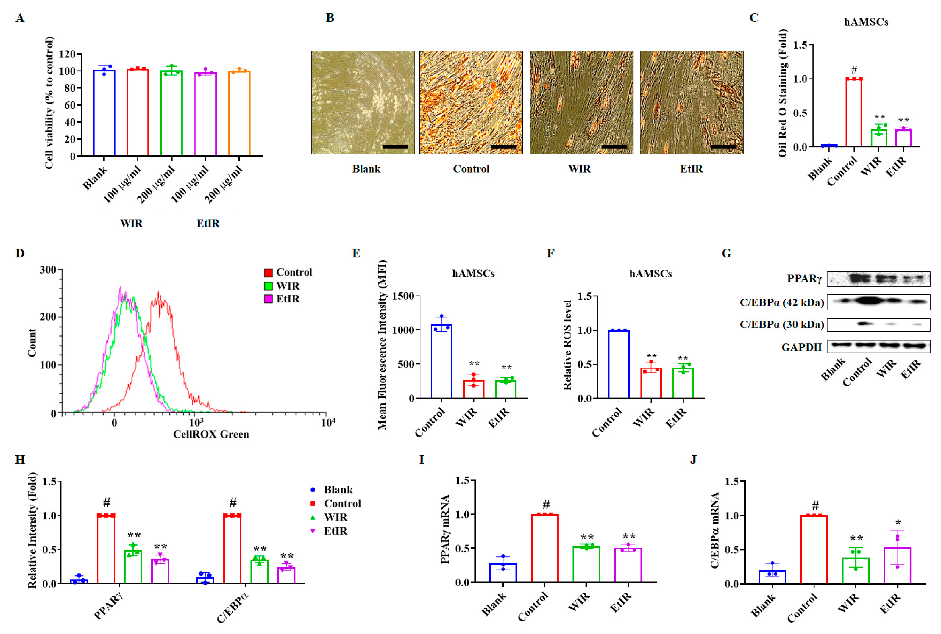 Antioxidants 12 01426 g004