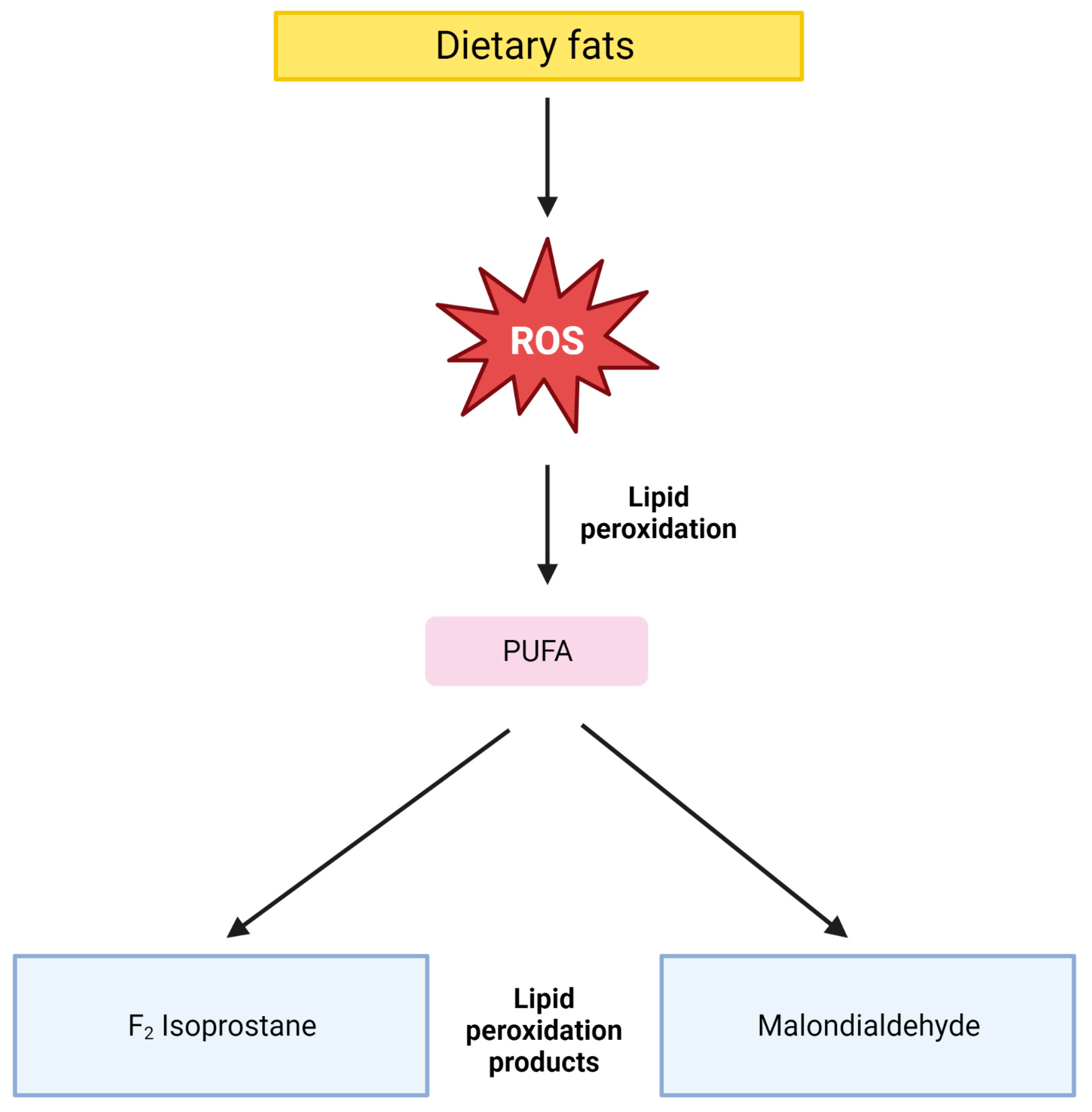 Antioxidants Free FullText The Effect of Dietary Patterns and