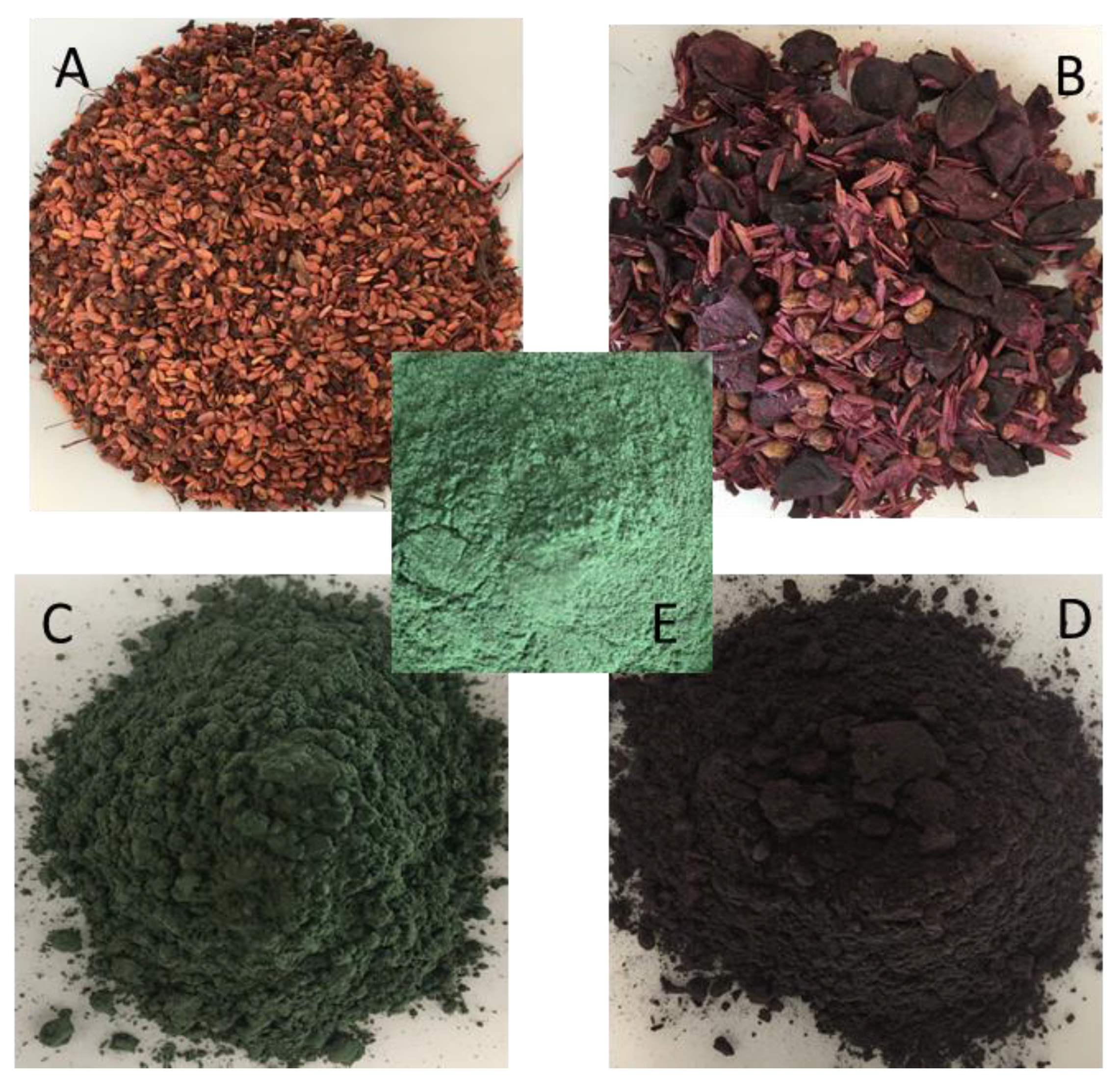 Antioxidants 12 01431 g002 Antioxidants 12 01431 g002