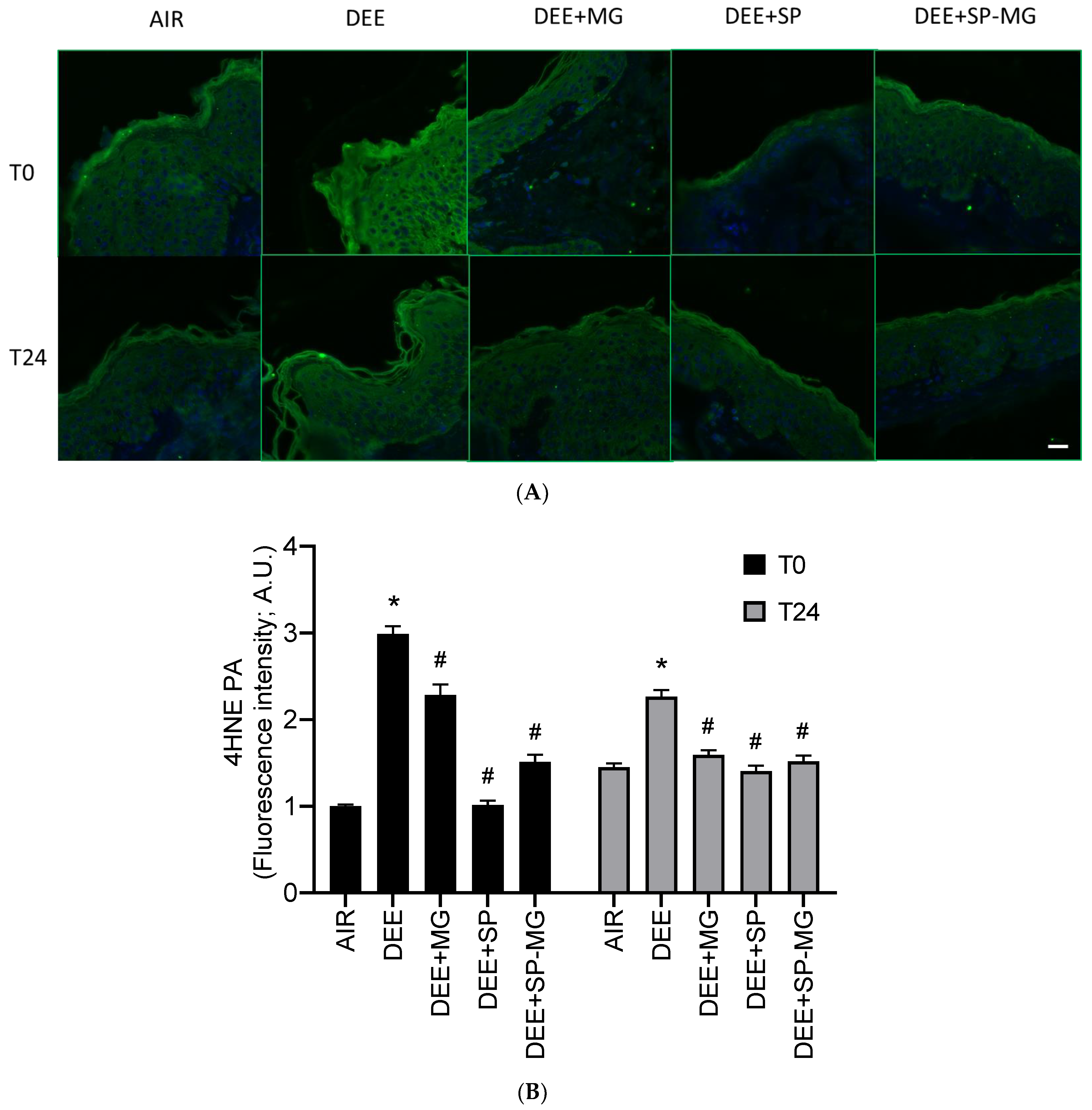 Antioxidants 12 01431 g004 Antioxidants 12 01431 g004