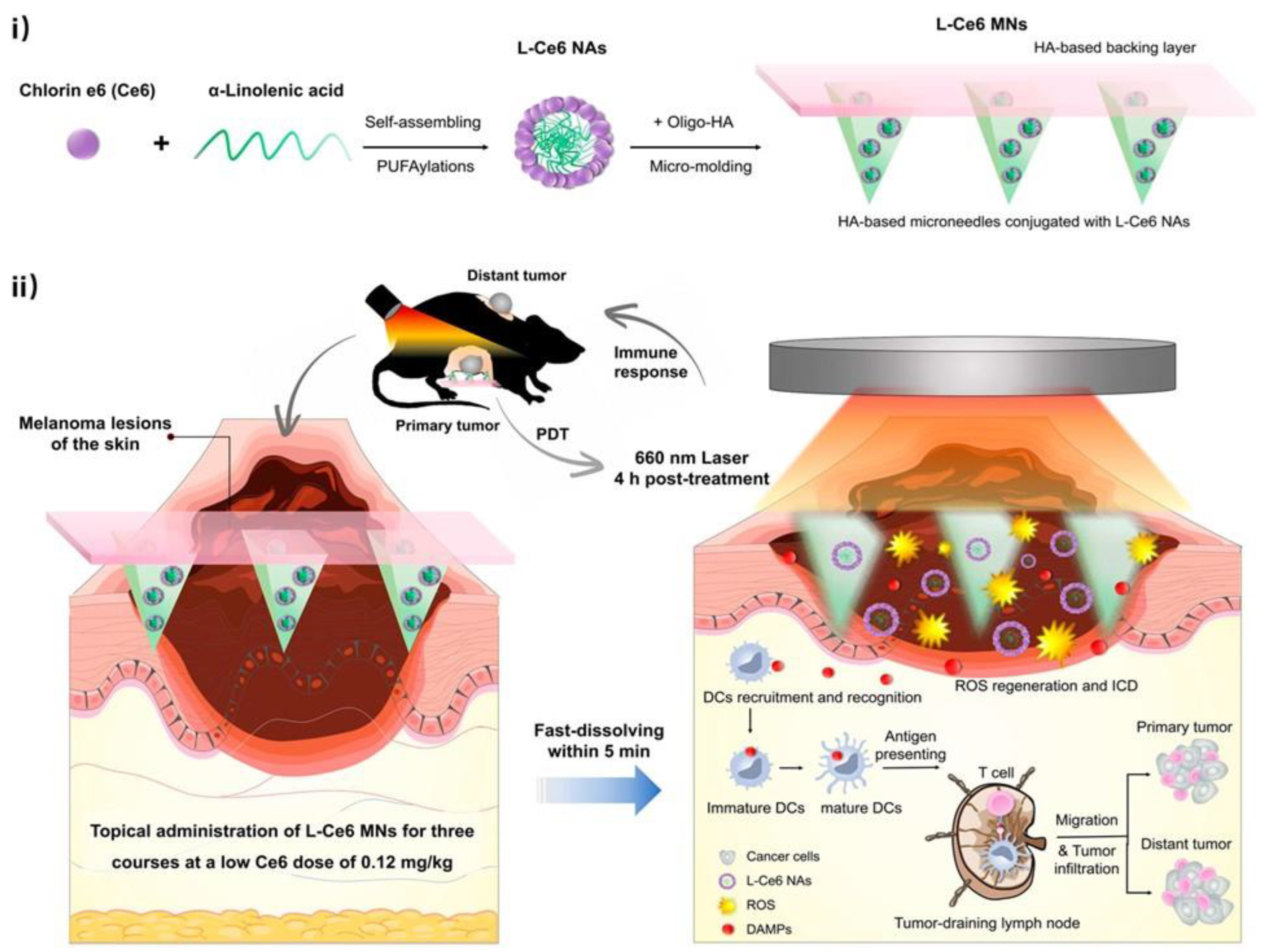 Antioxidants 12 01434 g004