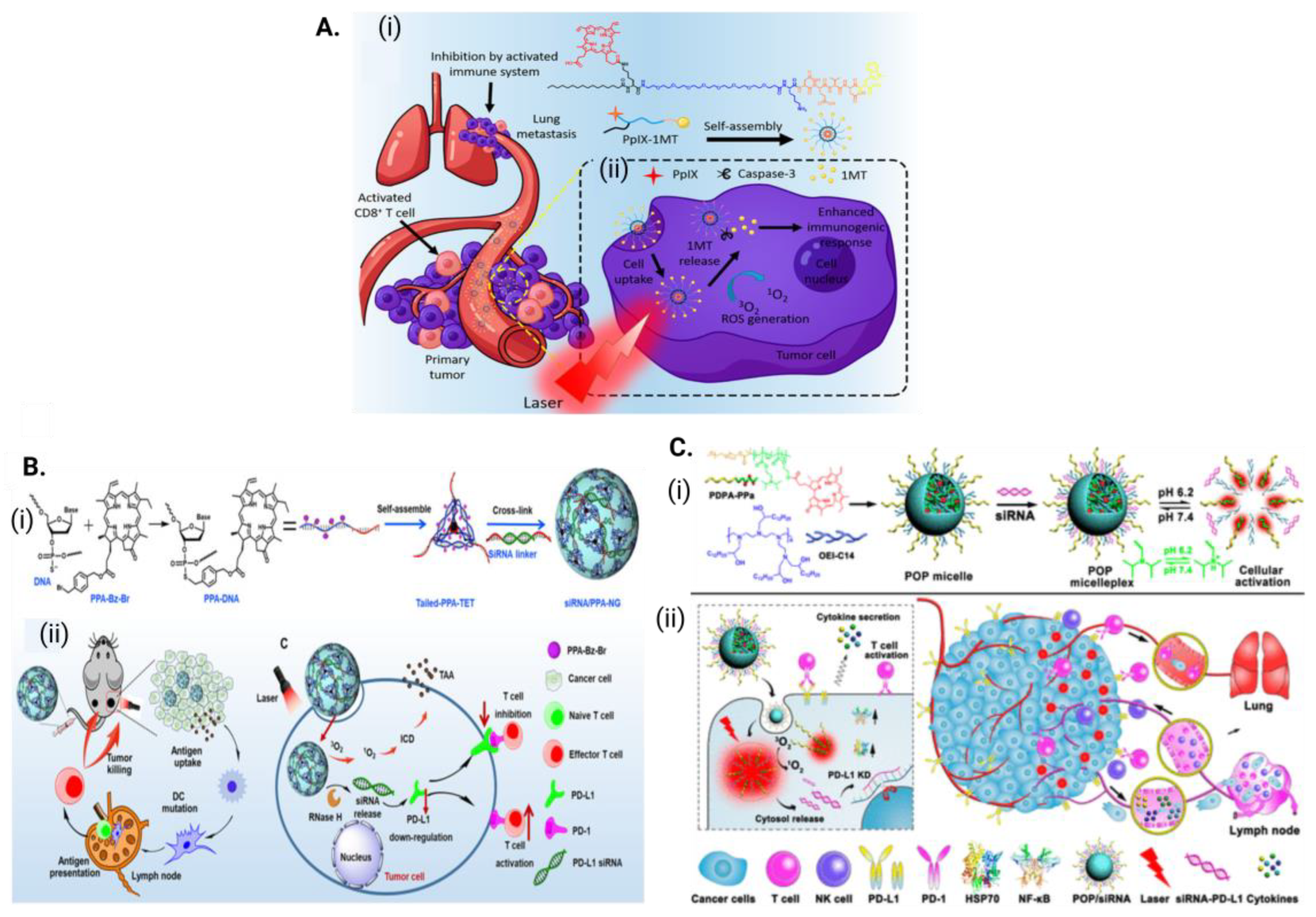 Antioxidants 12 01434 g005