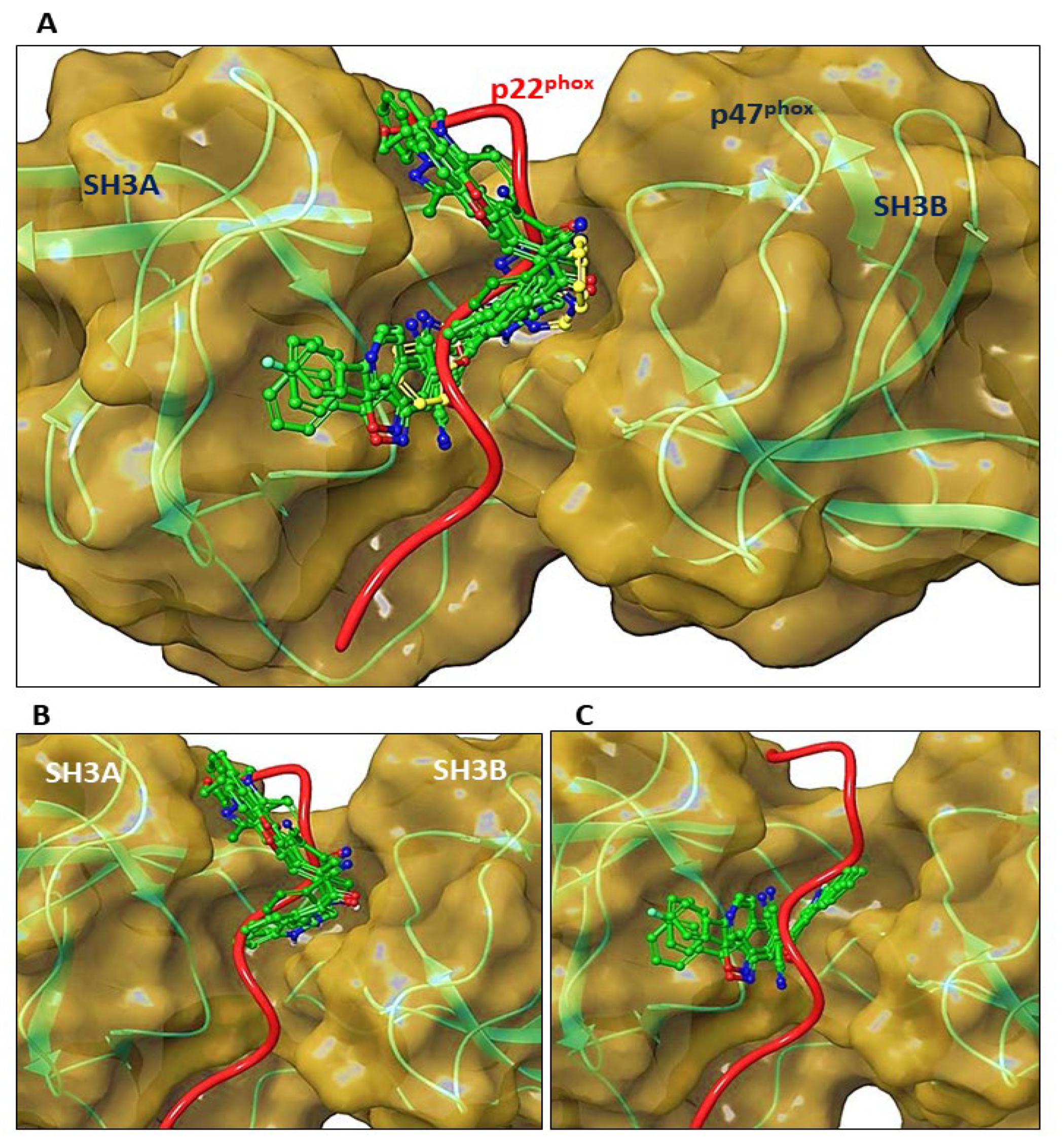 Antioxidants 12 01441 g008 Antioxidants 12 01441 g008