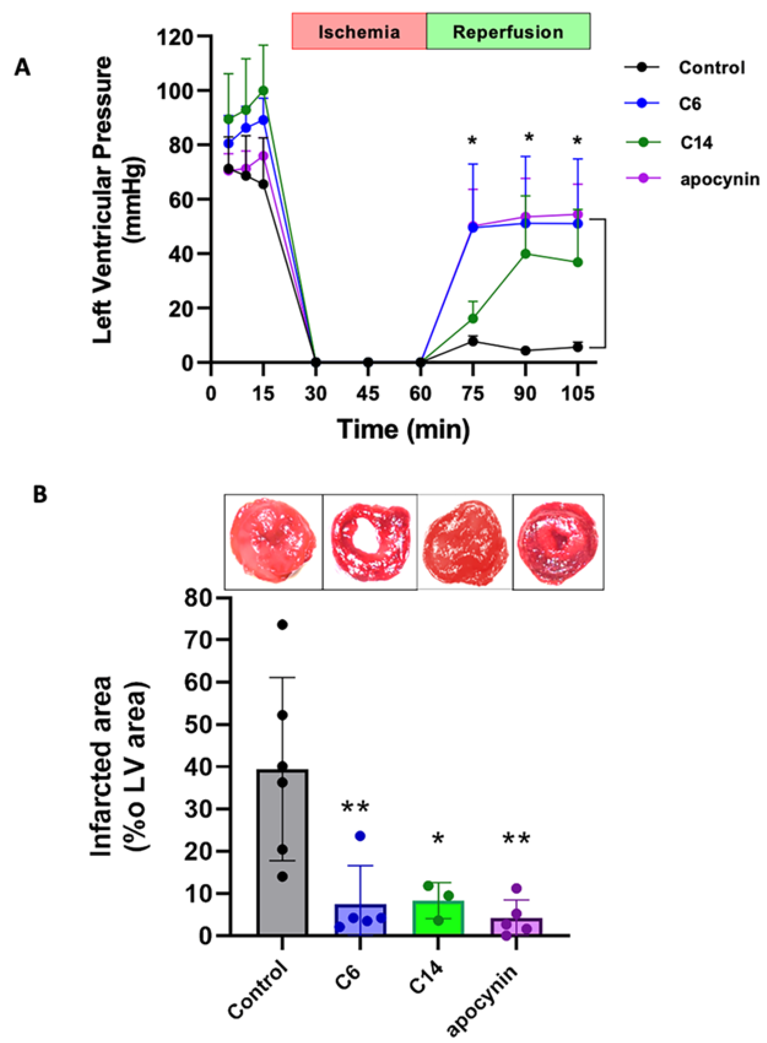 Antioxidants 12 01441 g010 Antioxidants 12 01441 g010