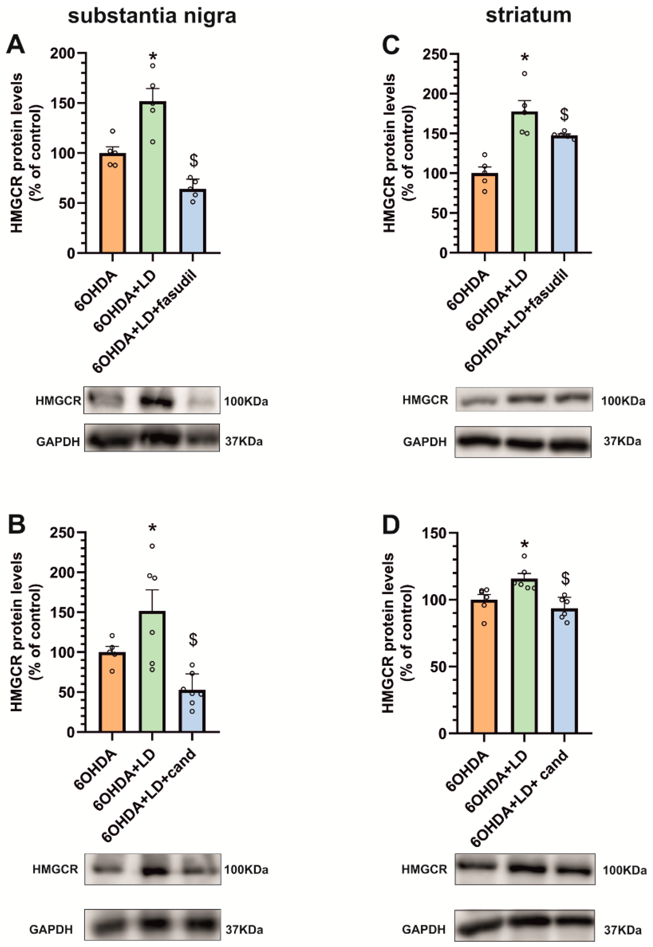 Antioxidants 12 01454 g006 Antioxidants 12 01454 g006