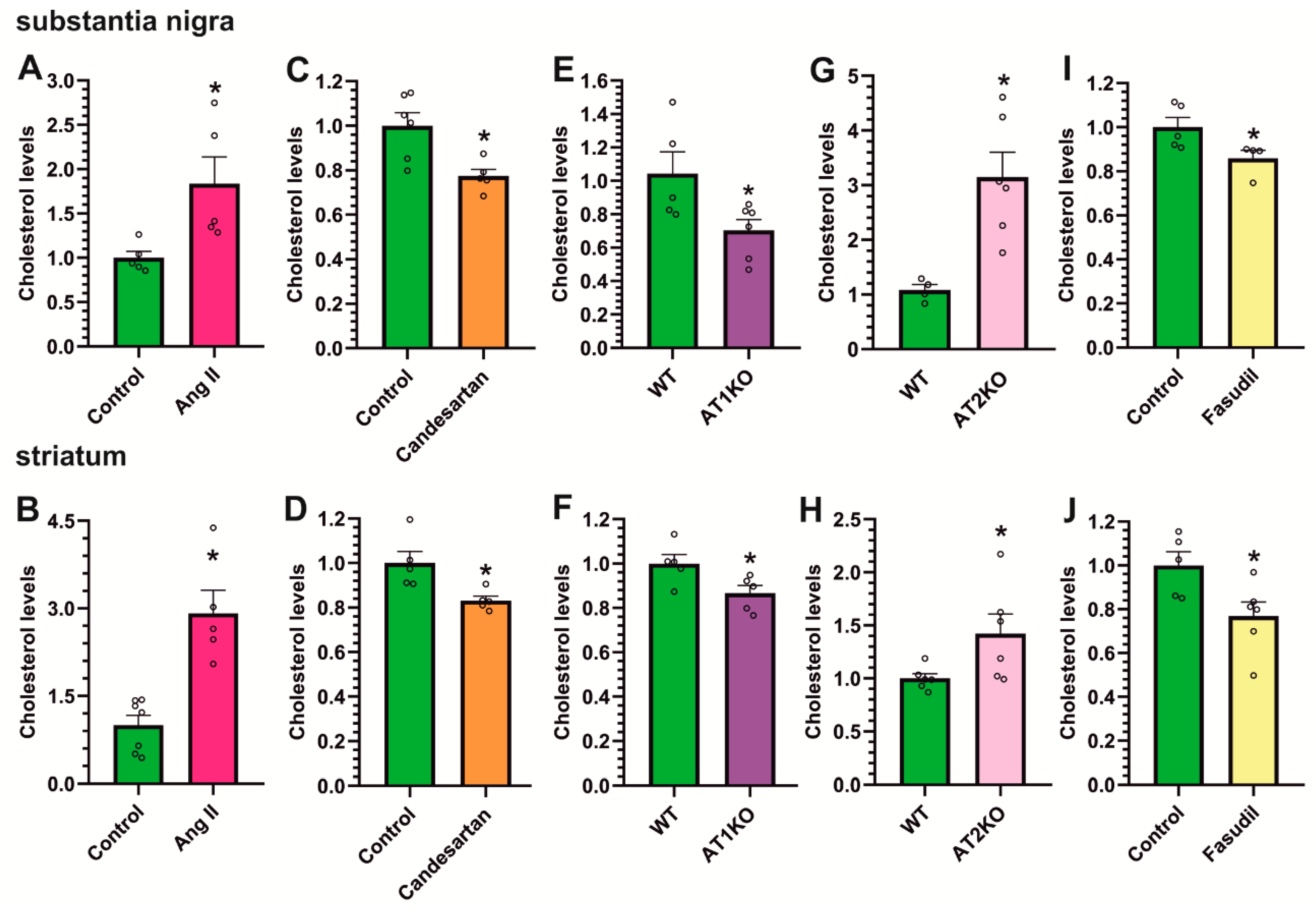 Antioxidants 12 01454 g007 Antioxidants 12 01454 g007
