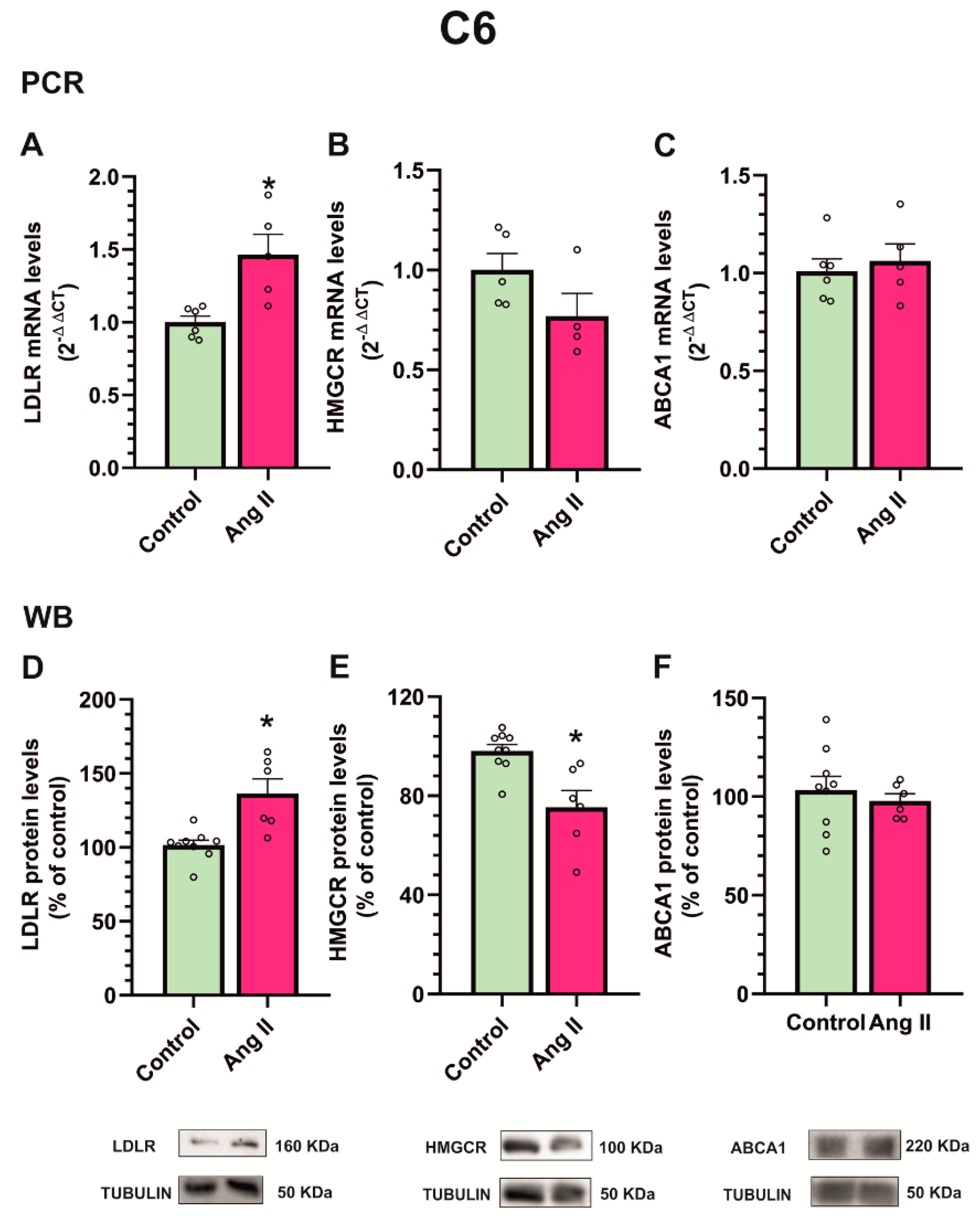 Antioxidants 12 01454 g010 Antioxidants 12 01454 g010
