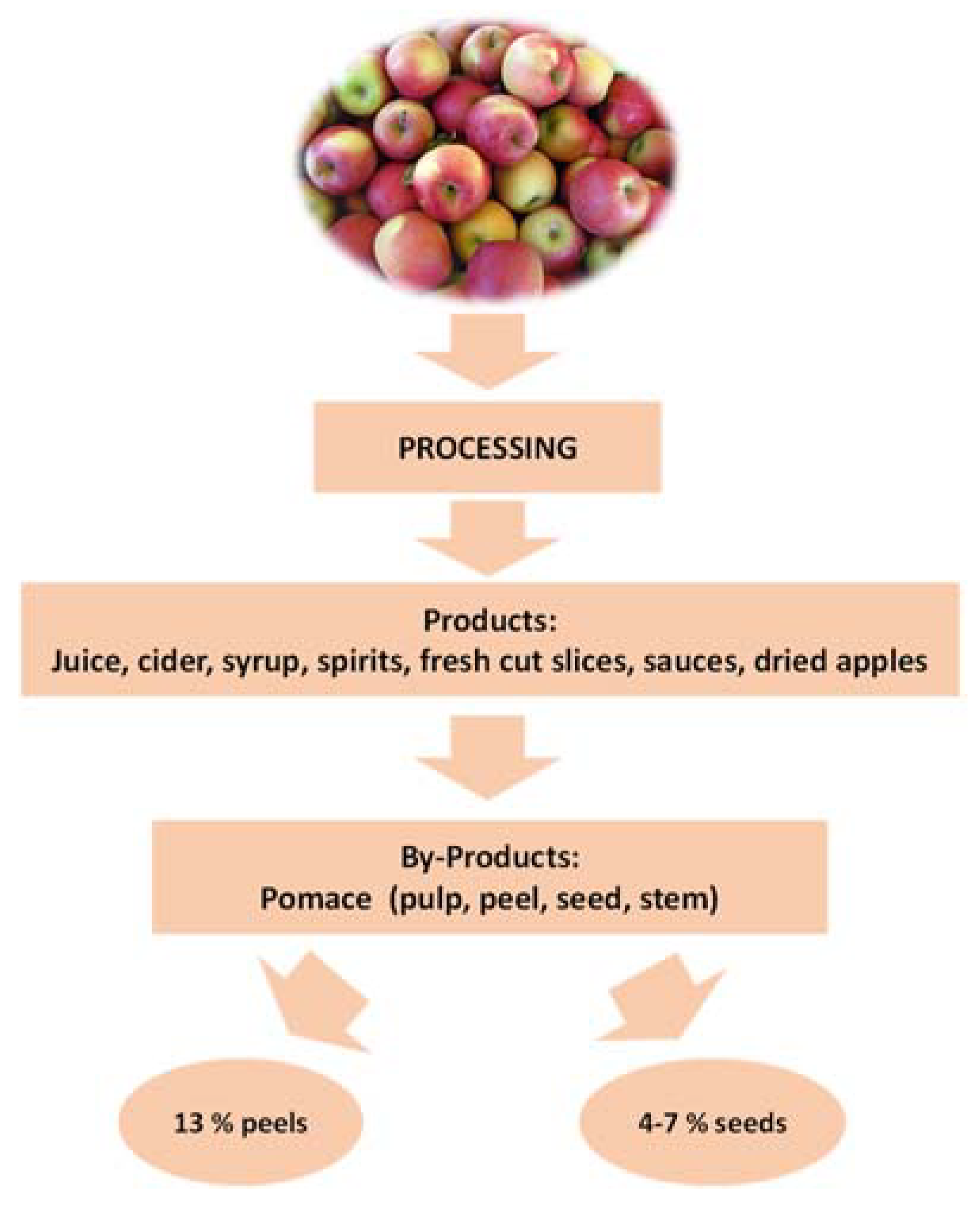 Antioxidants 12 01456 g002 Antioxidants 12 01456 g002