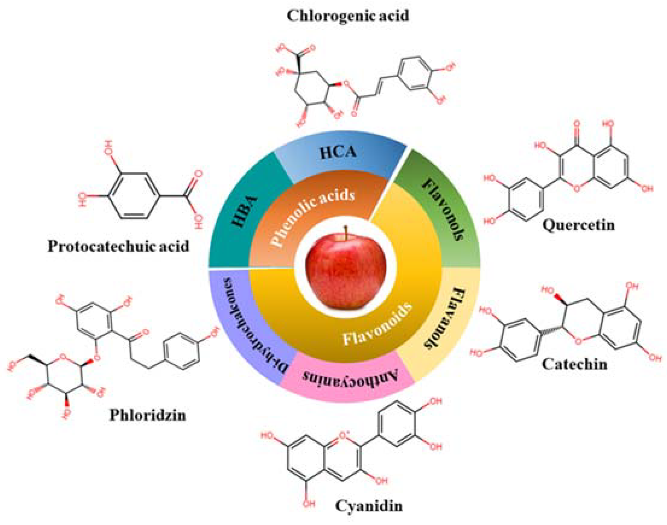 Antioxidants 12 01456 g003 Antioxidants 12 01456 g003