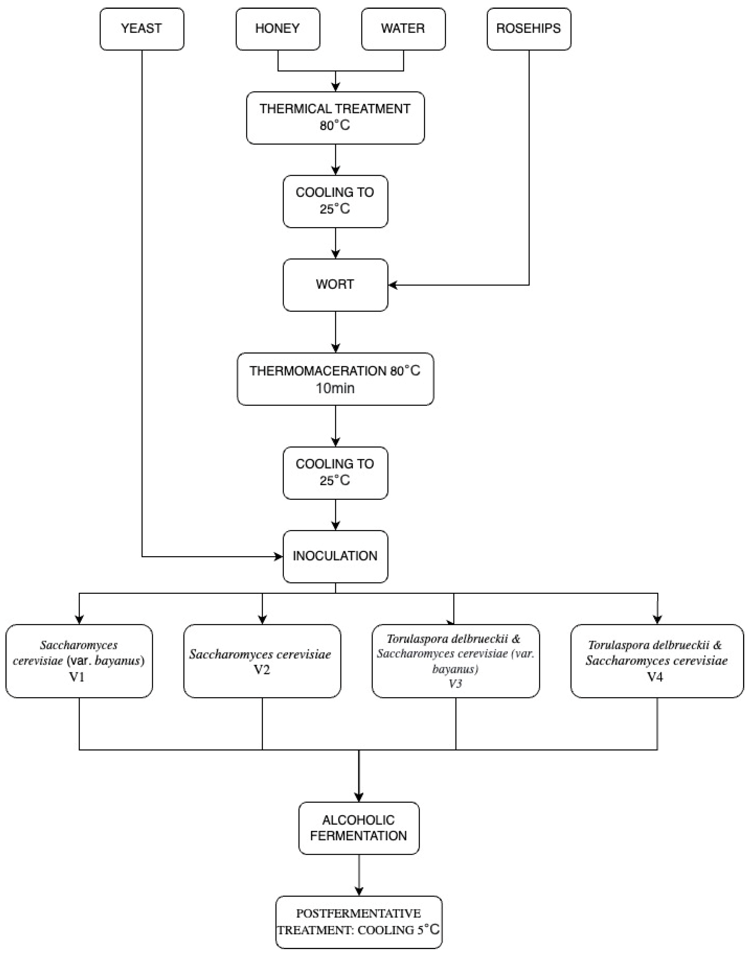 Antioxidants 12 01457 g001 Antioxidants 12 01457 g001