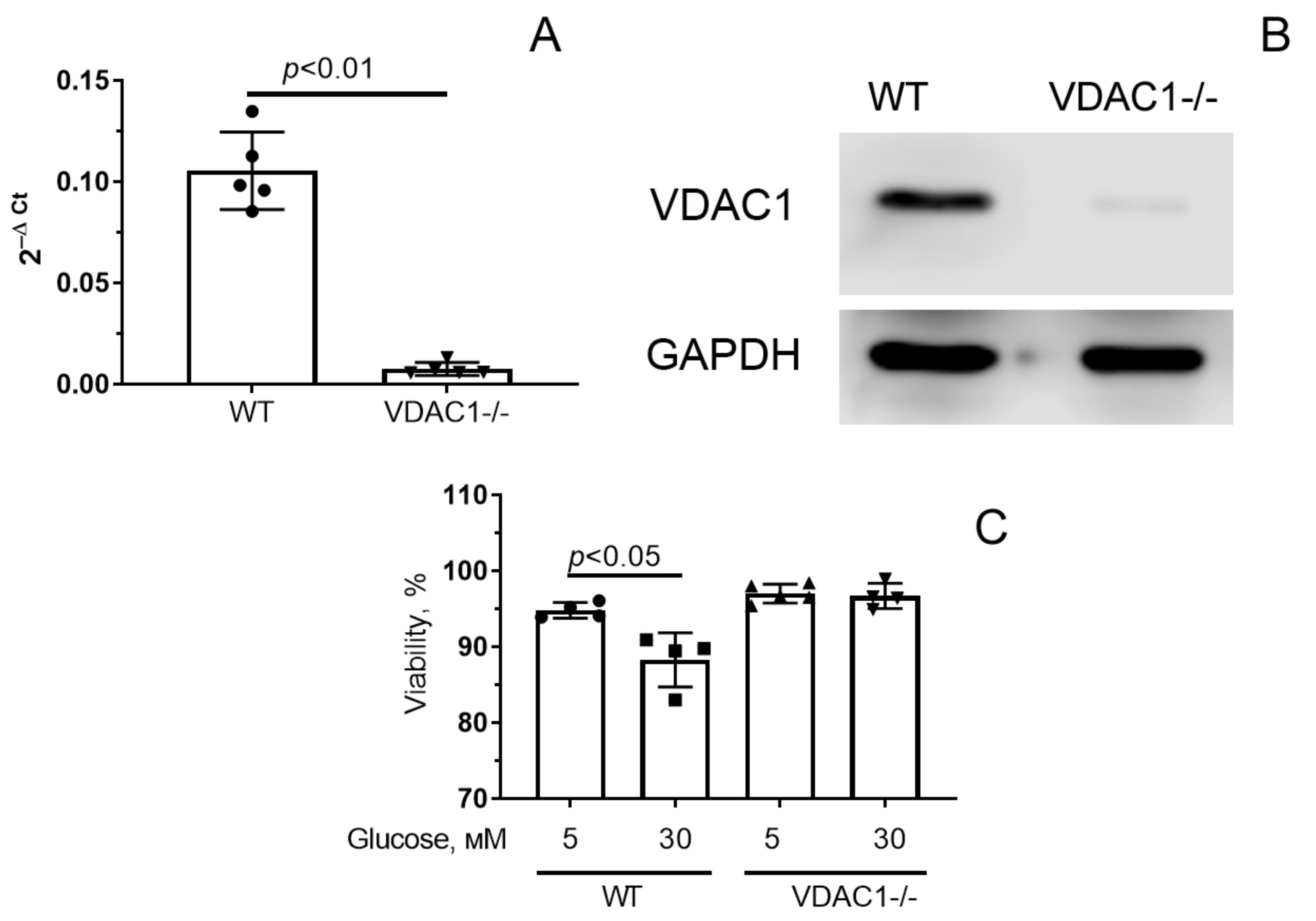 Antioxidants 12 01459 g005 Antioxidants 12 01459 g005