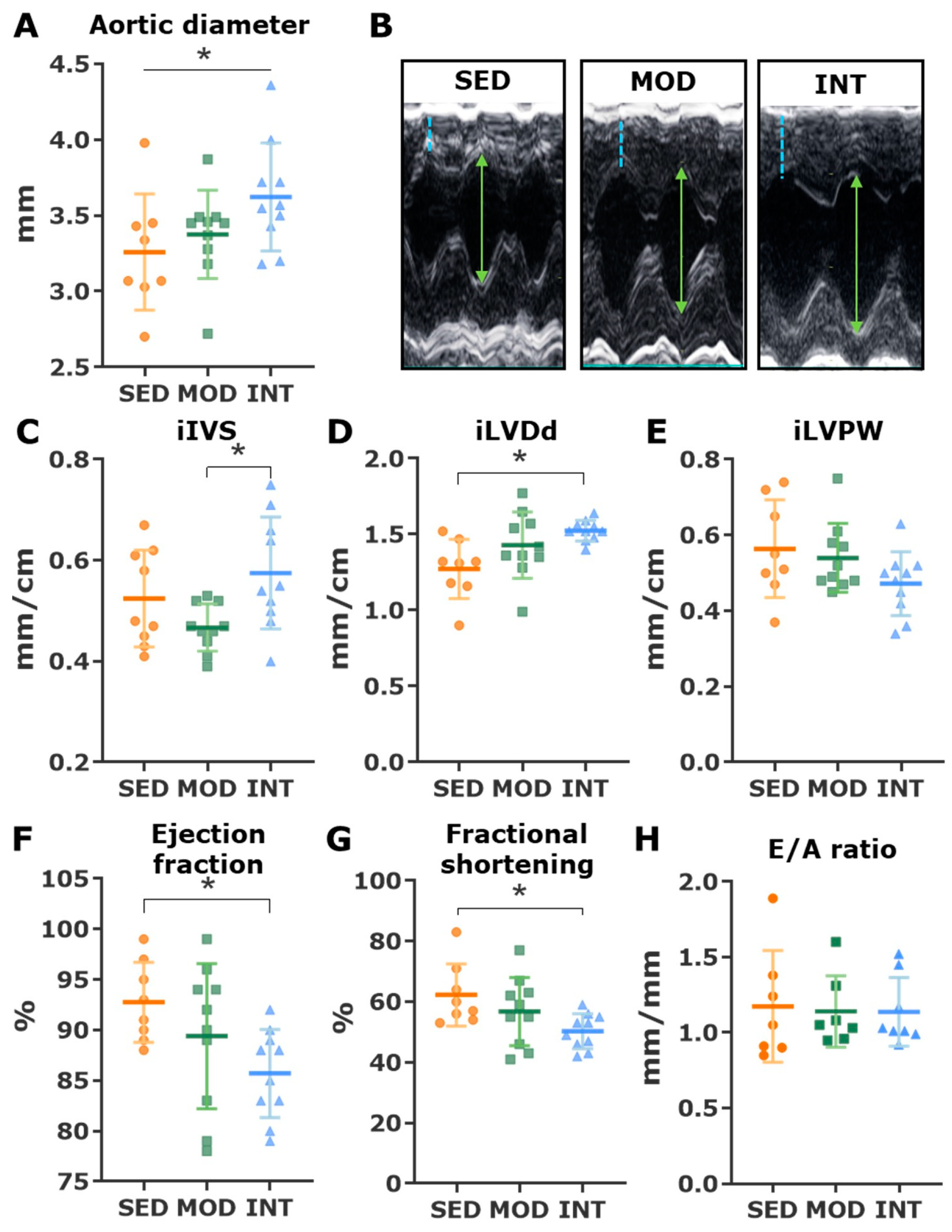 Antioxidants 12 01462 g002 Antioxidants 12 01462 g002