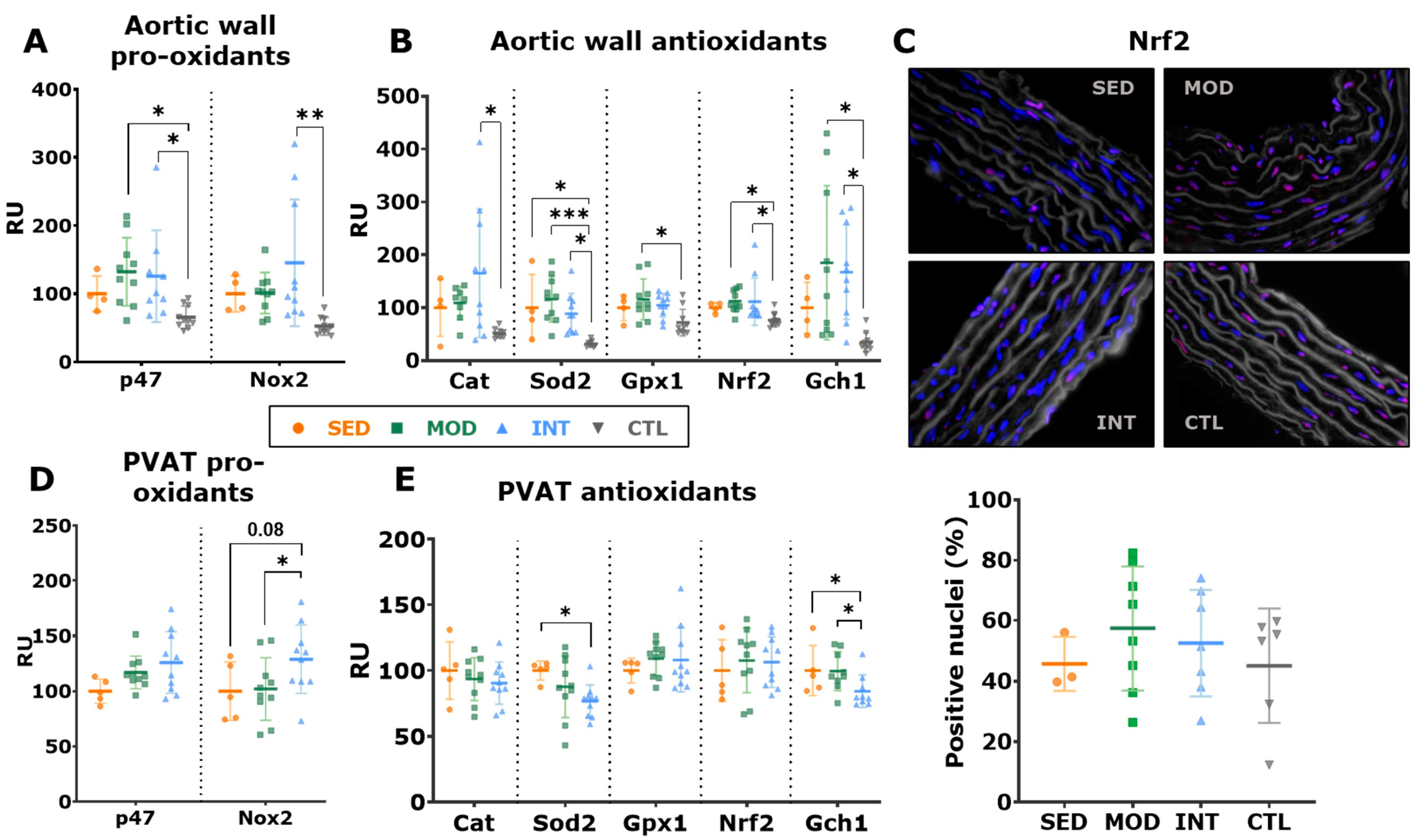 Antioxidants 12 01462 g006 Antioxidants 12 01462 g006