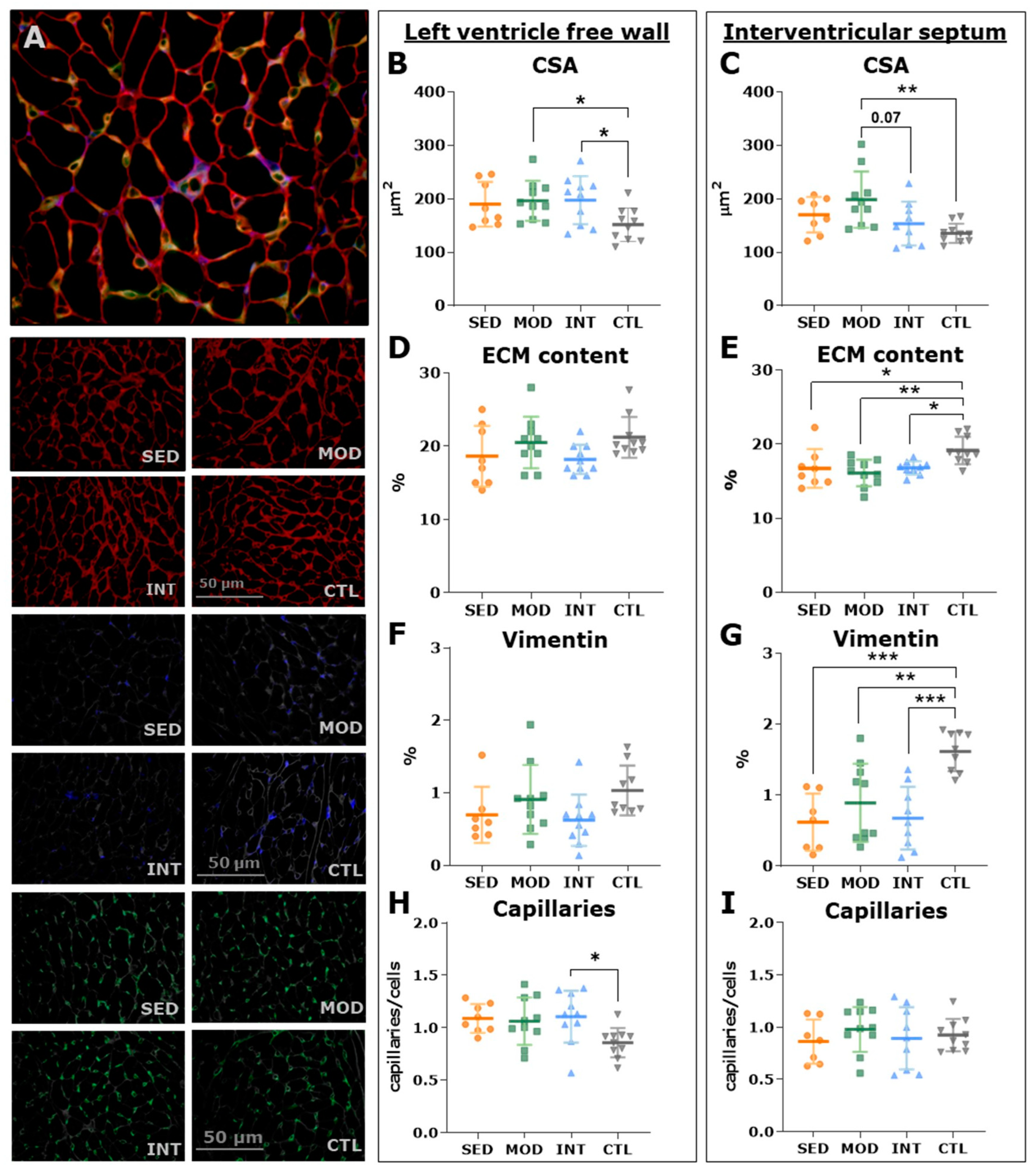 Antioxidants 12 01462 g007 Antioxidants 12 01462 g007