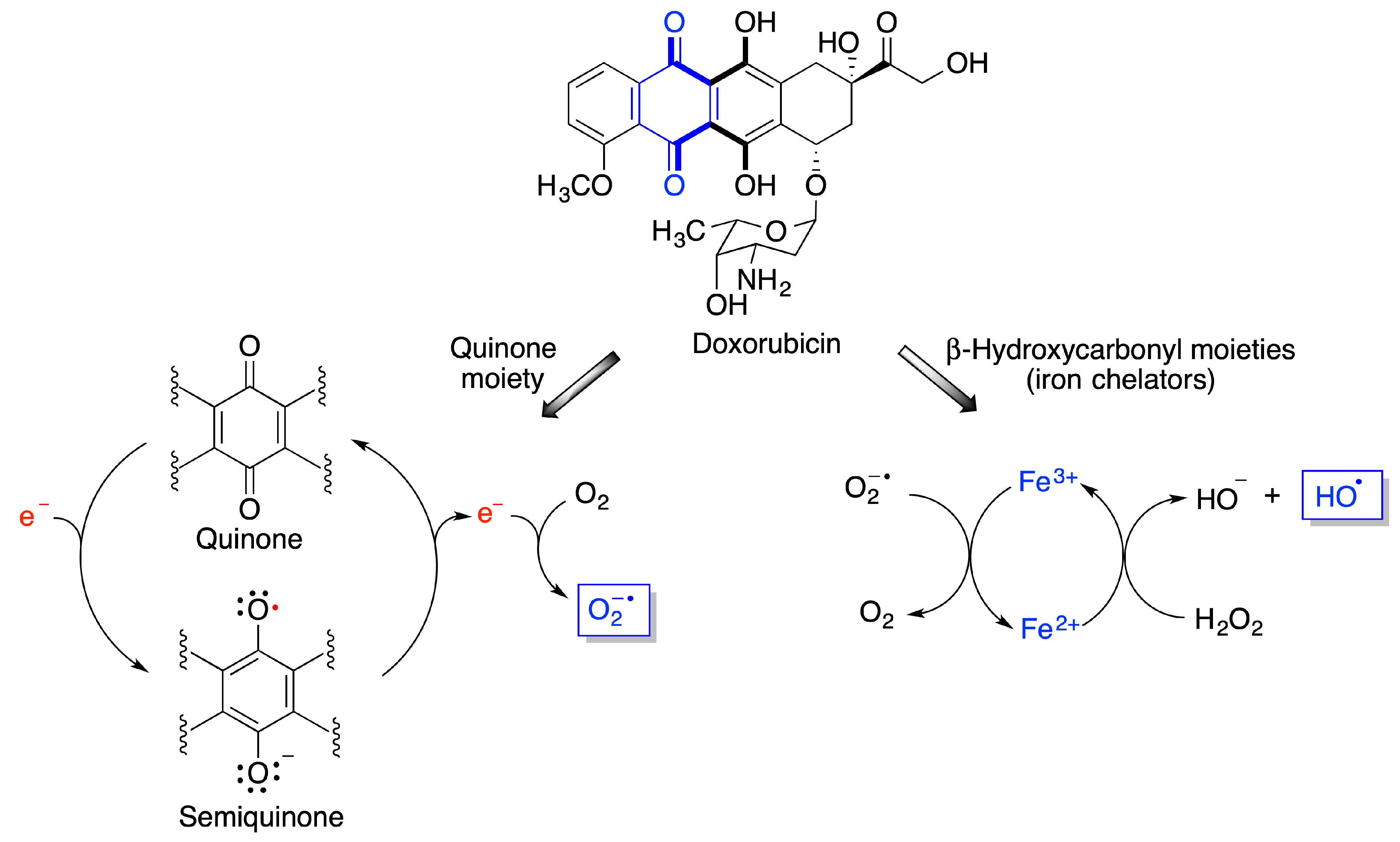 Antioxidants 12 01464 g004