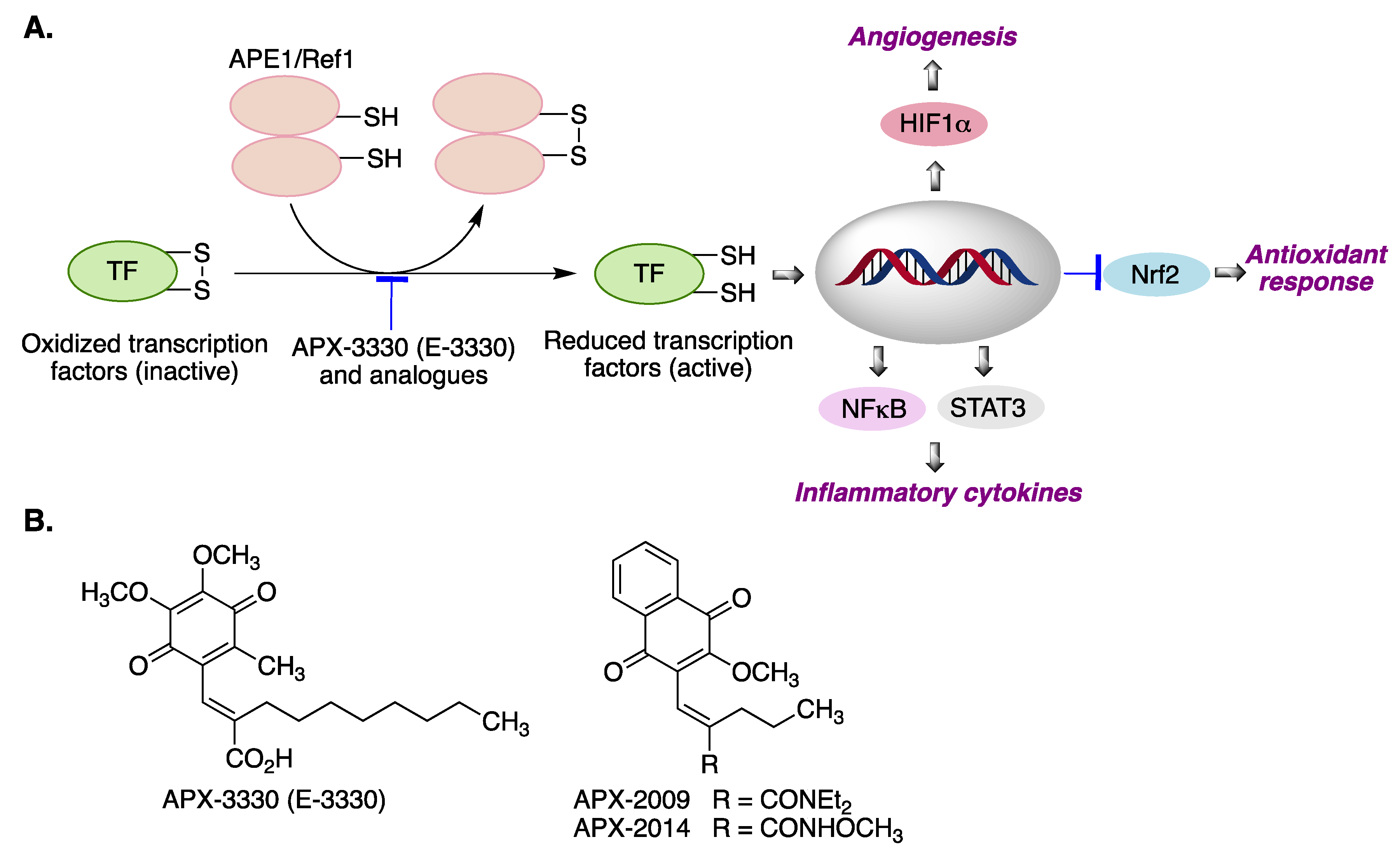 Antioxidants 12 01464 g018