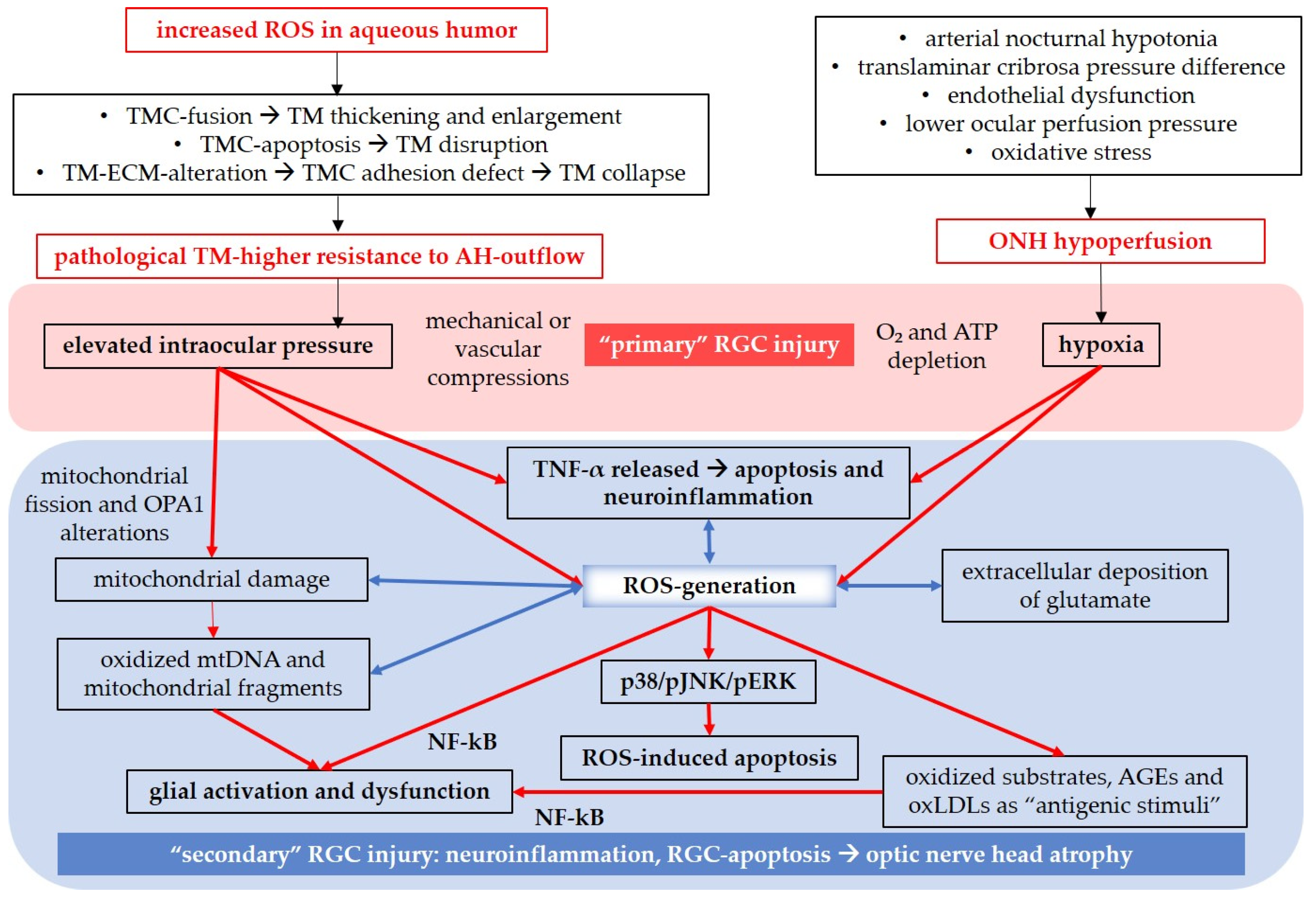 Antioxidants 12 01465 g005 Antioxidants 12 01465 g005