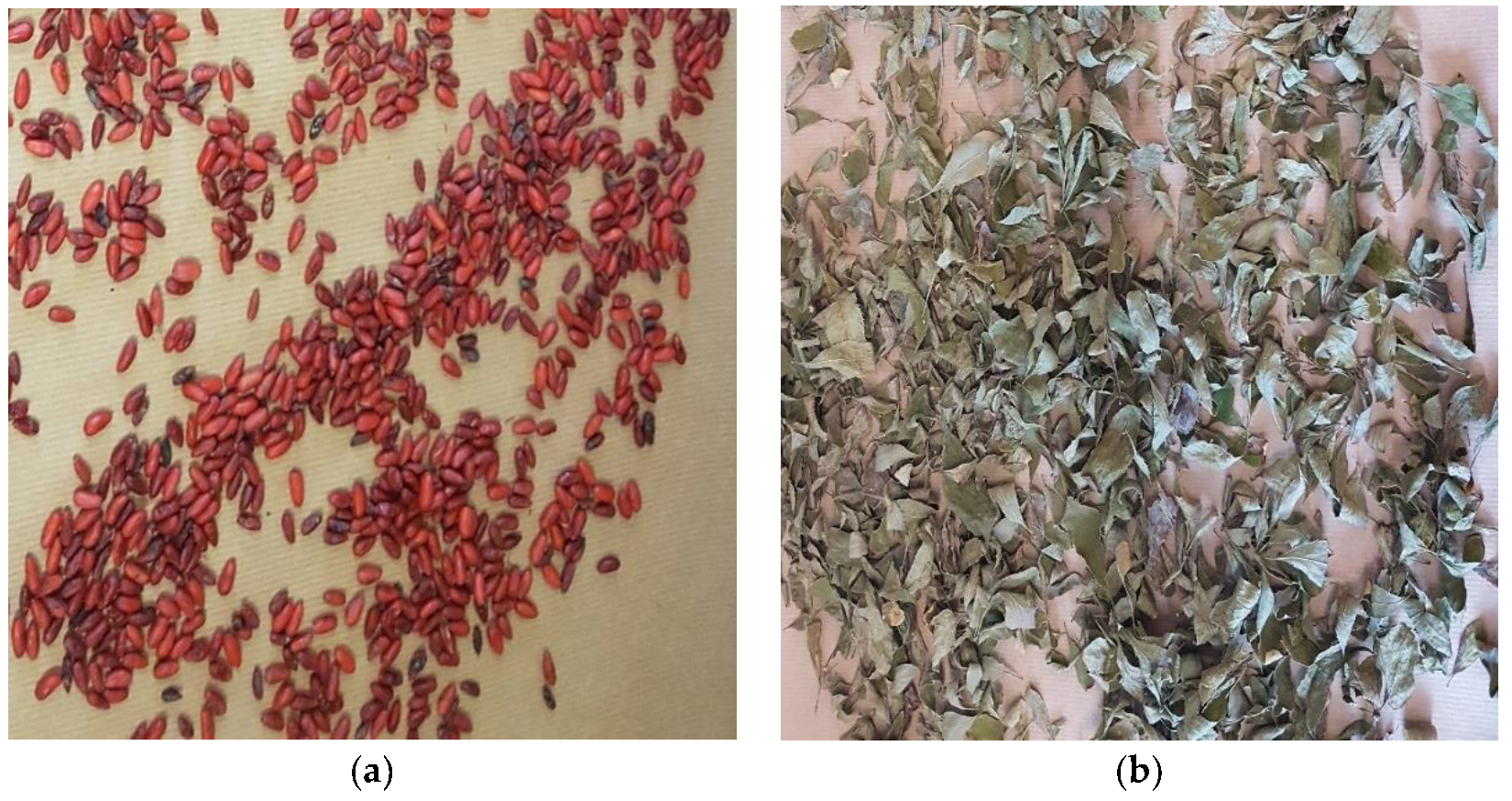 Antioxidants 12 01467 g001a