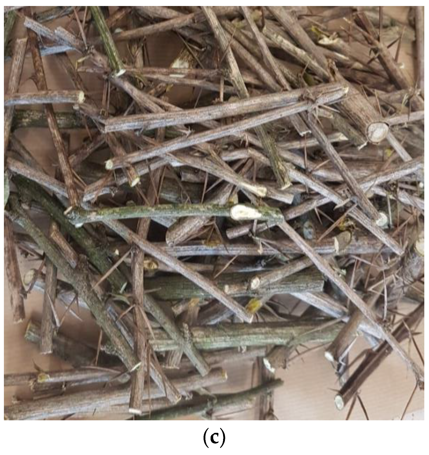 Antioxidants 12 01467 g001b