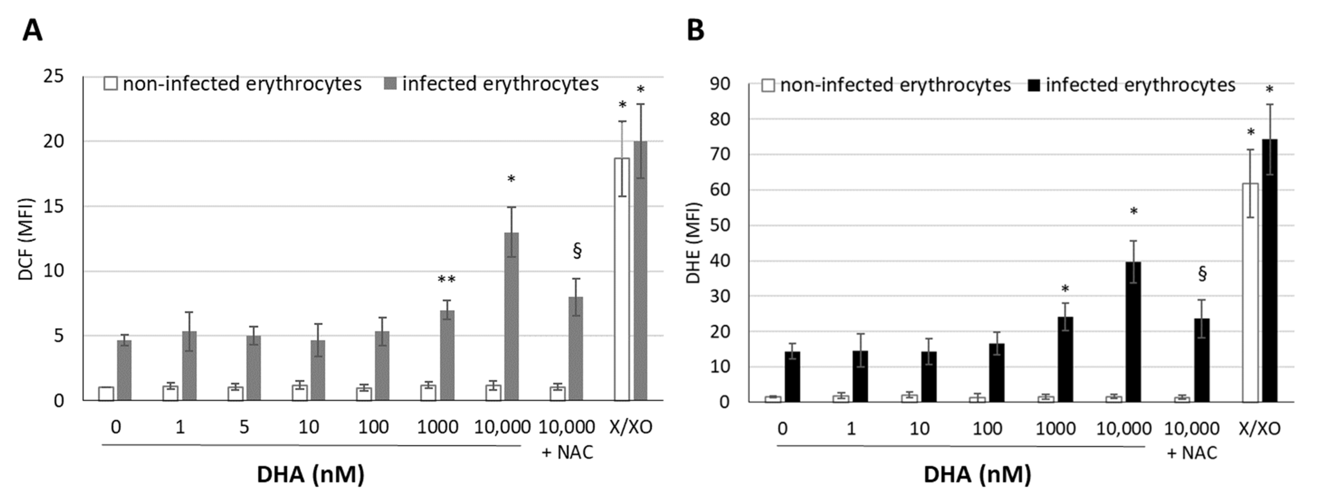 Antioxidants 12 01468 g004 Antioxidants 12 01468 g004