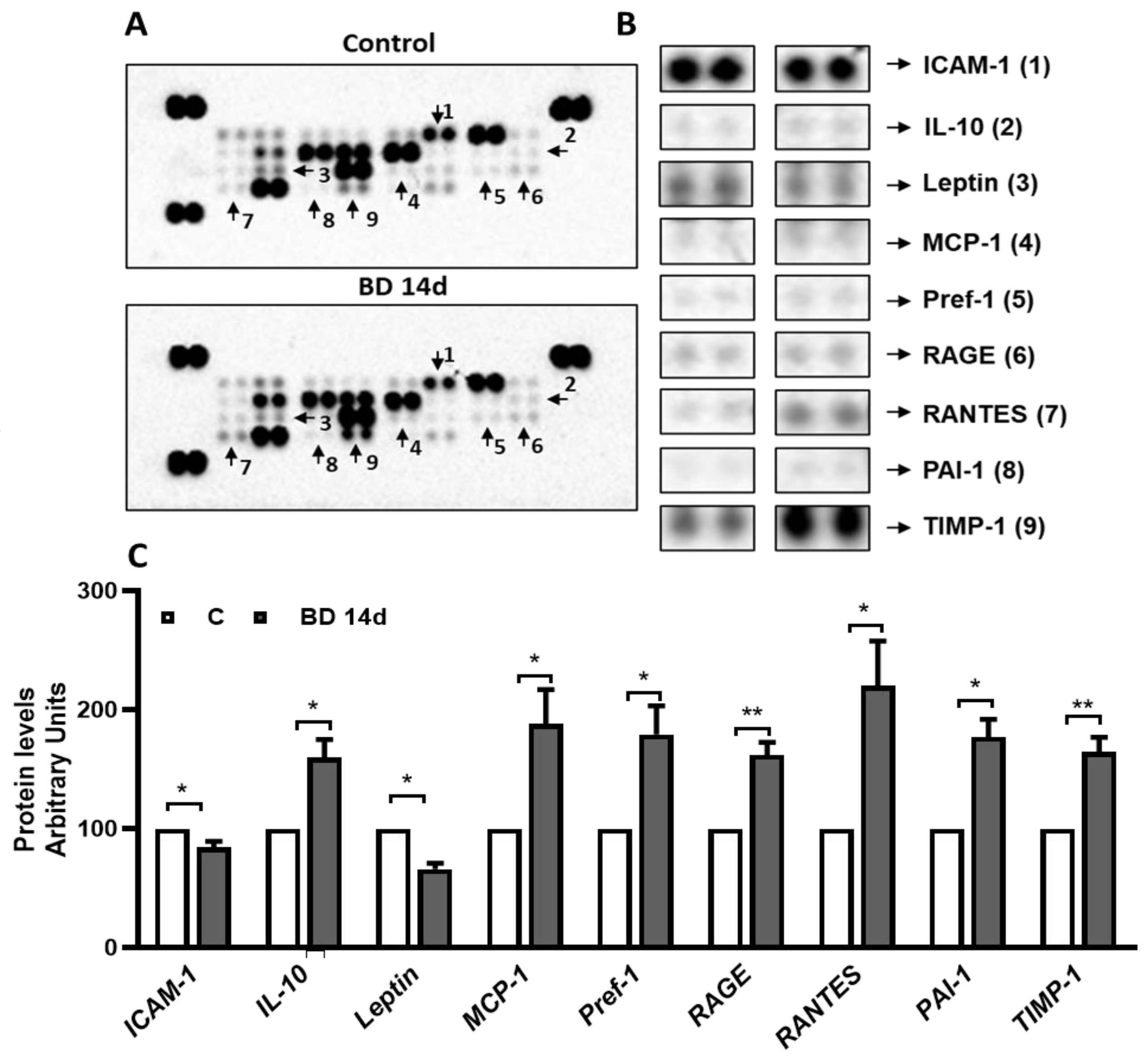 Antioxidants 12 01471 g006