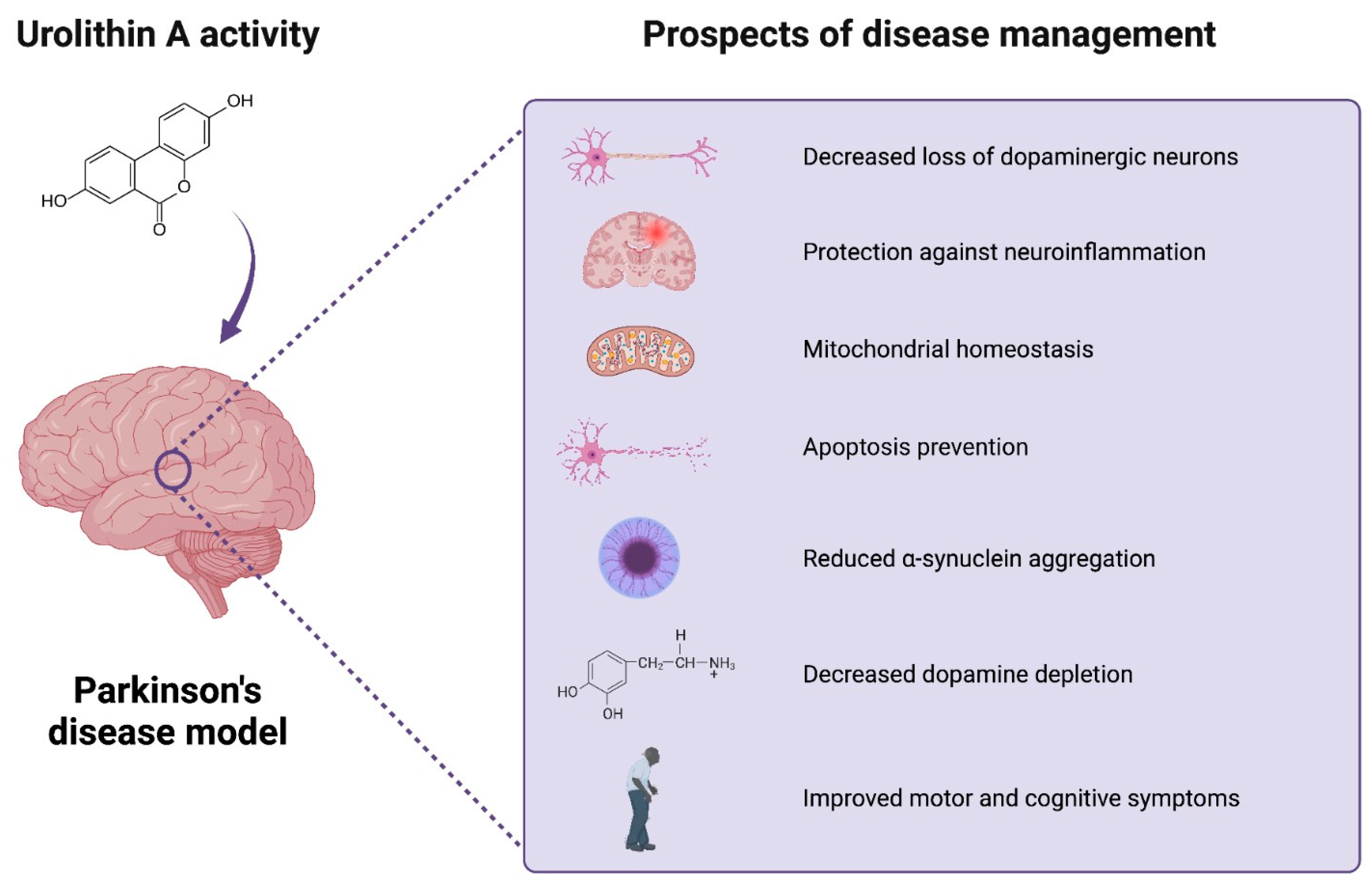 Antioxidants 12 01479 g003