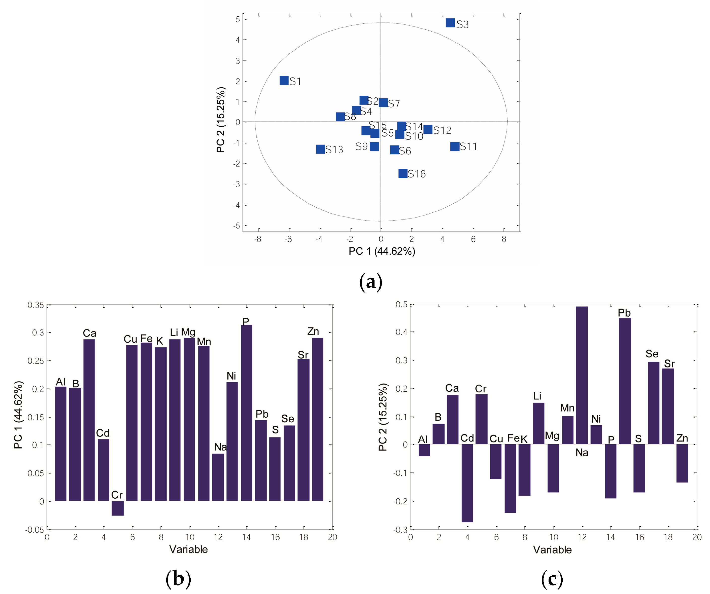 Antioxidants 12 01485 g005 Antioxidants 12 01485 g005