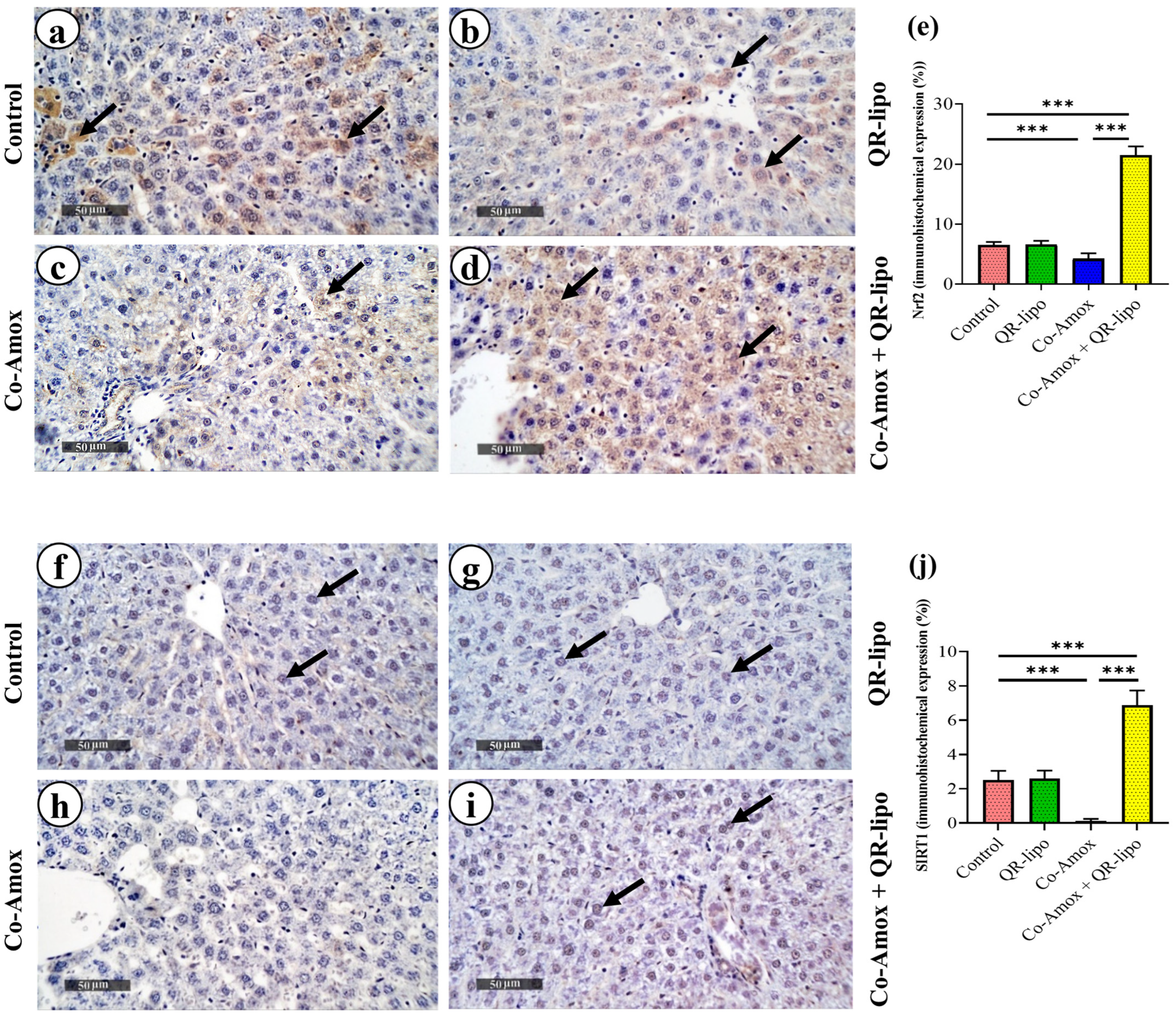 Antioxidants 12 01487 g009