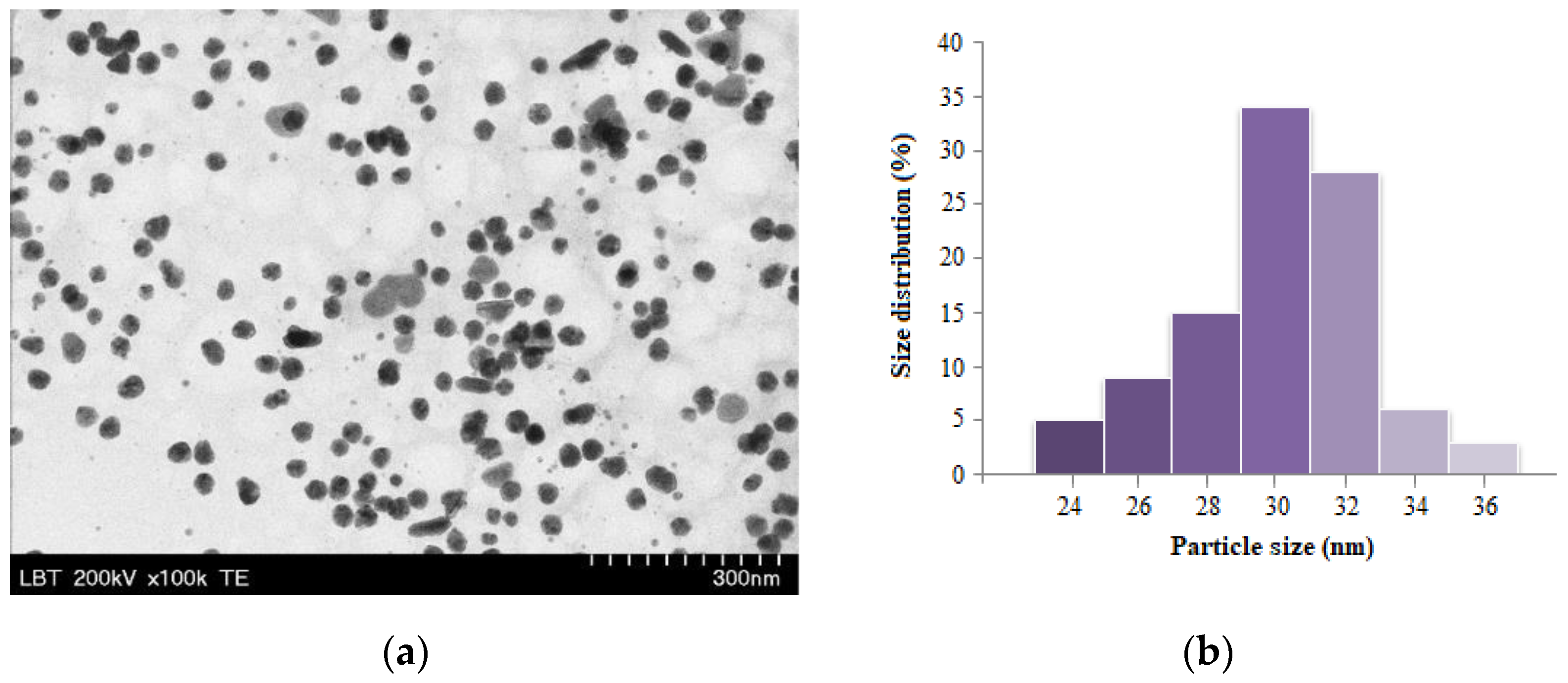Antioxidants 12 01489 g002 Antioxidants 12 01489 g002